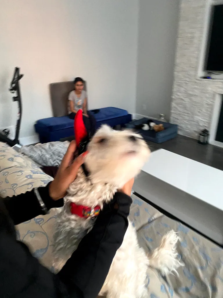 1779062921027 zuorxf IMG 3955