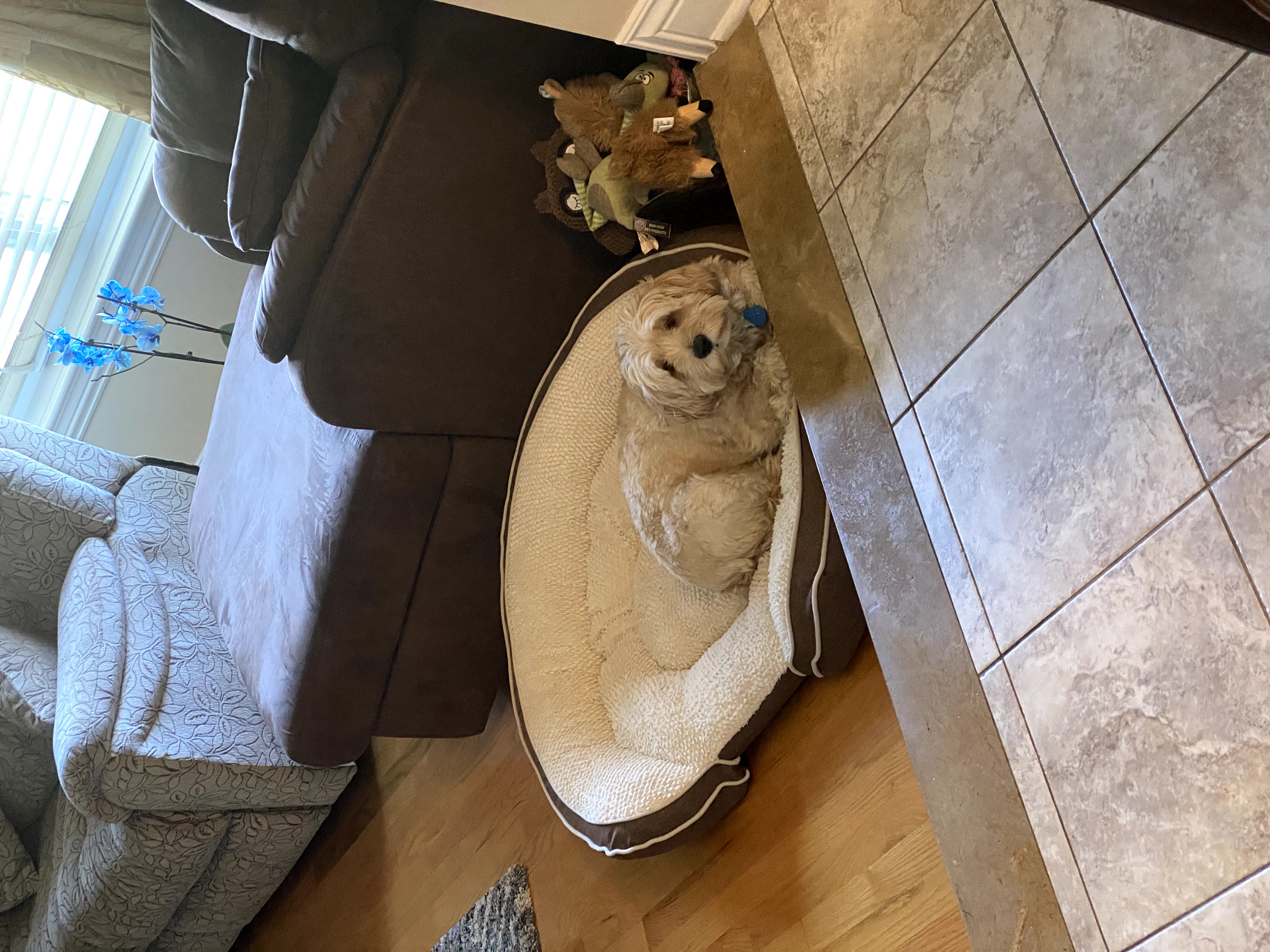 1779062929894 tm0noa IMG 3408