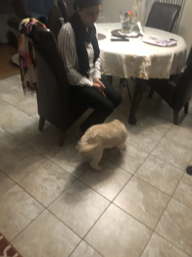 1779062933254 szwrgi IMG 0637