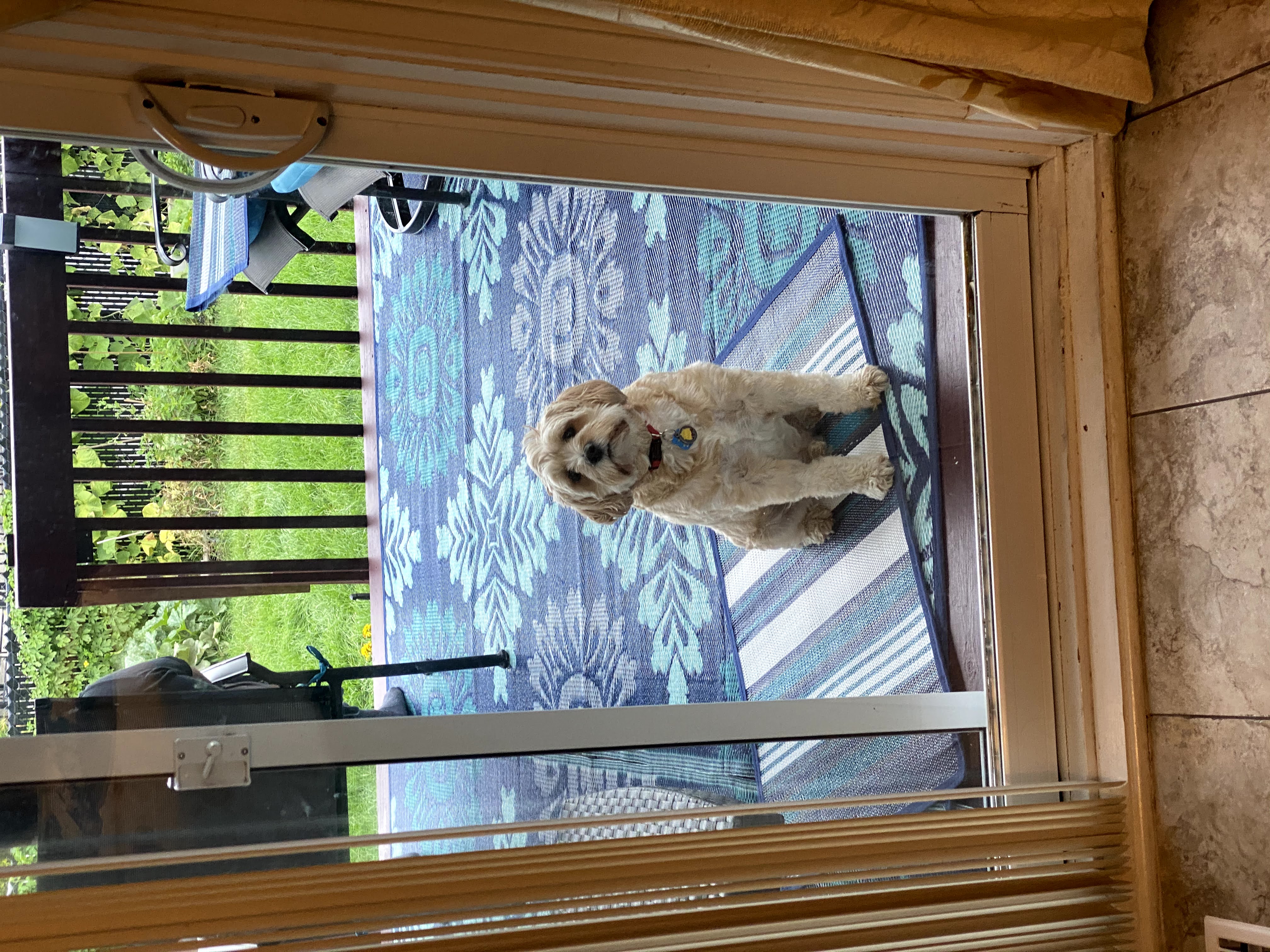 1779062941183 ma6r2o IMG 2928