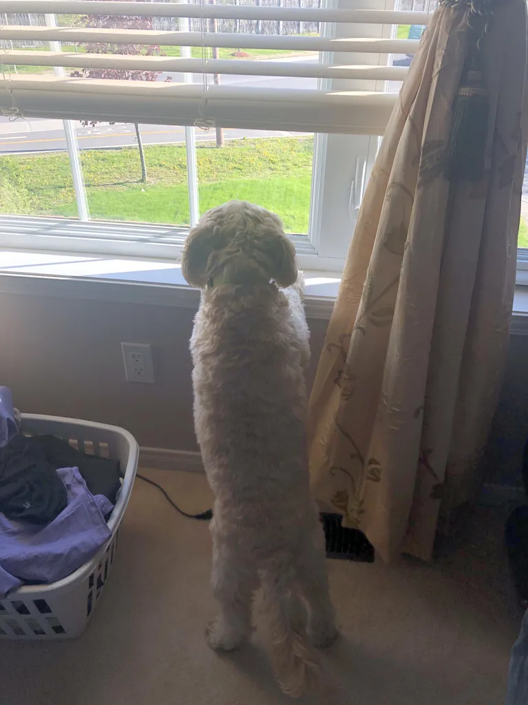 1779062946844 g0oqr5 IMG 9850
