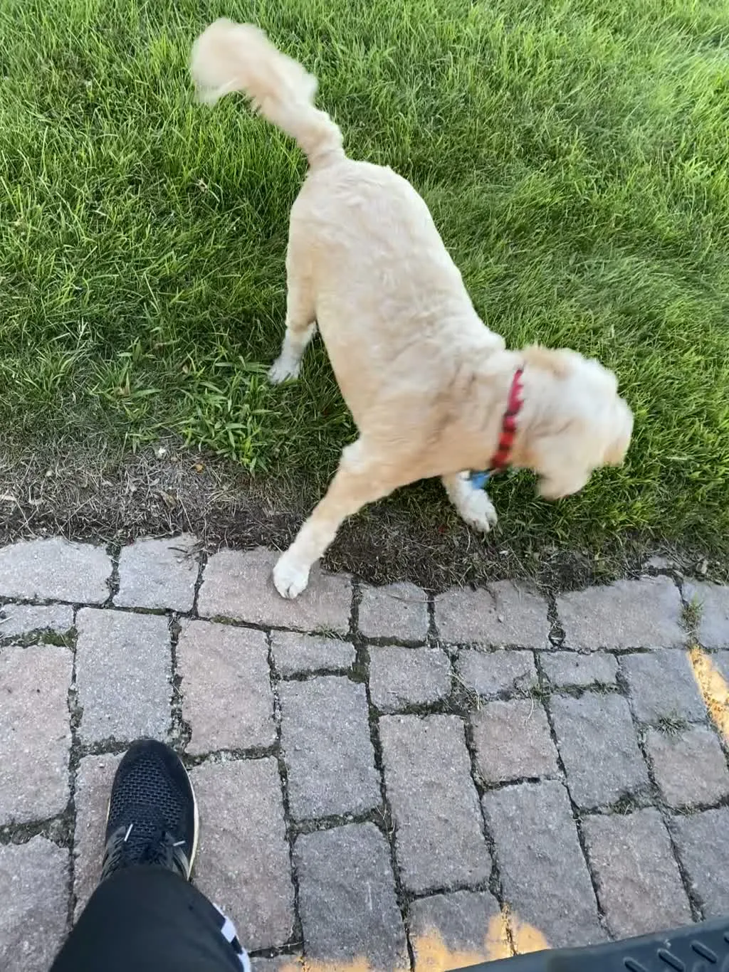 1779062957110 pstktc IMG 2485