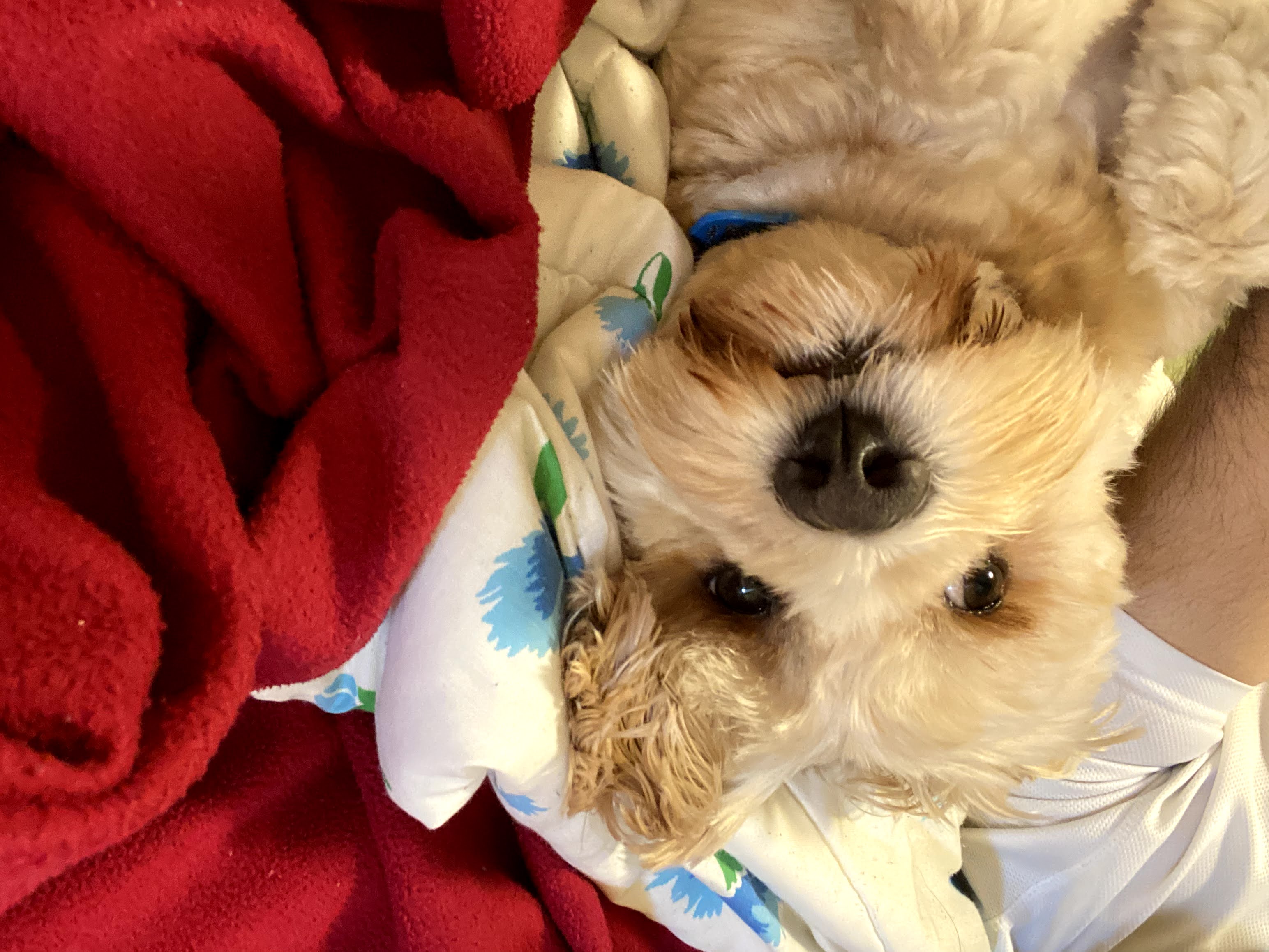 1779062957604 uyqo7r IMG 2425