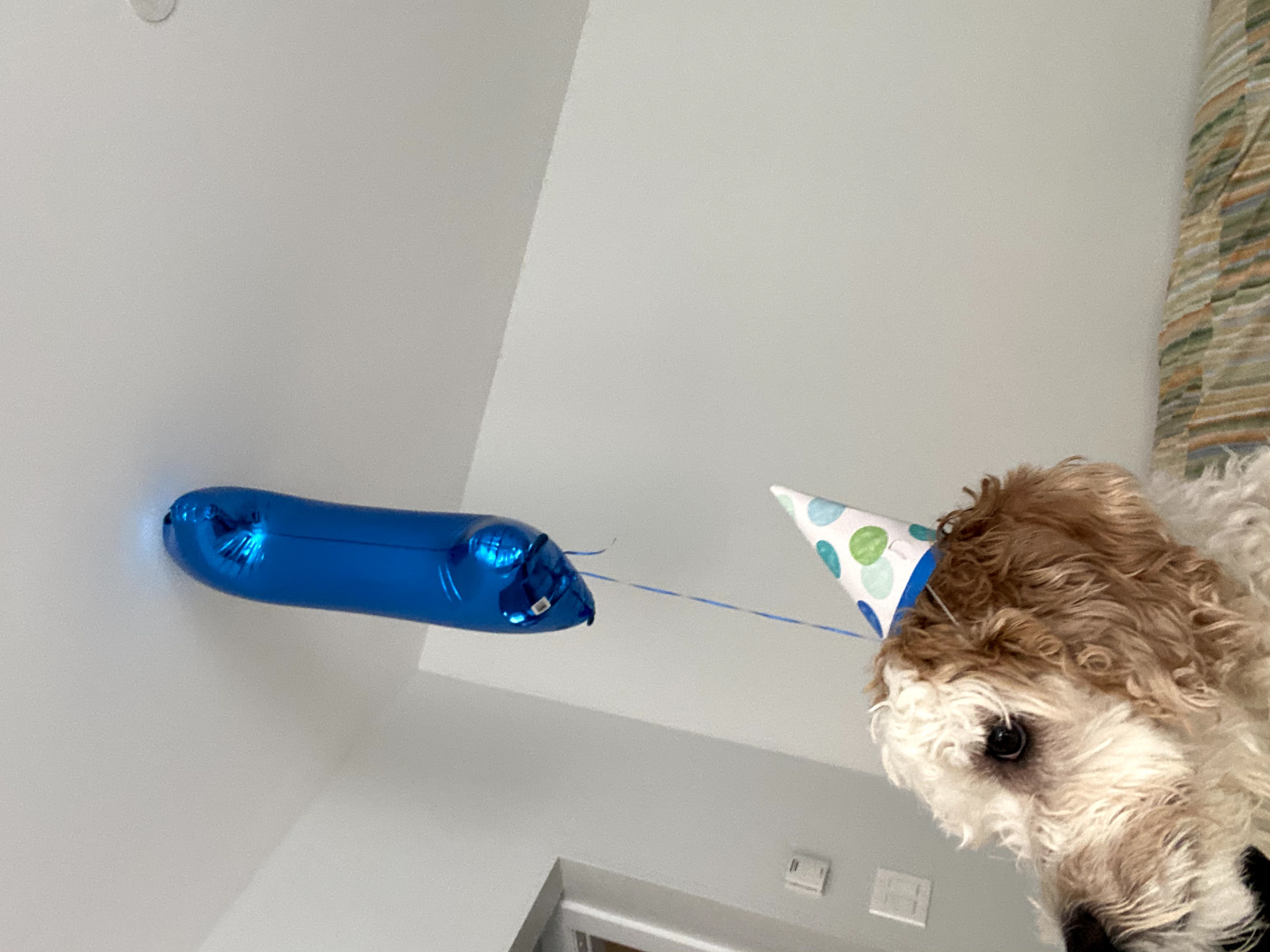 1779062967272 5sdiyq IMG 1873