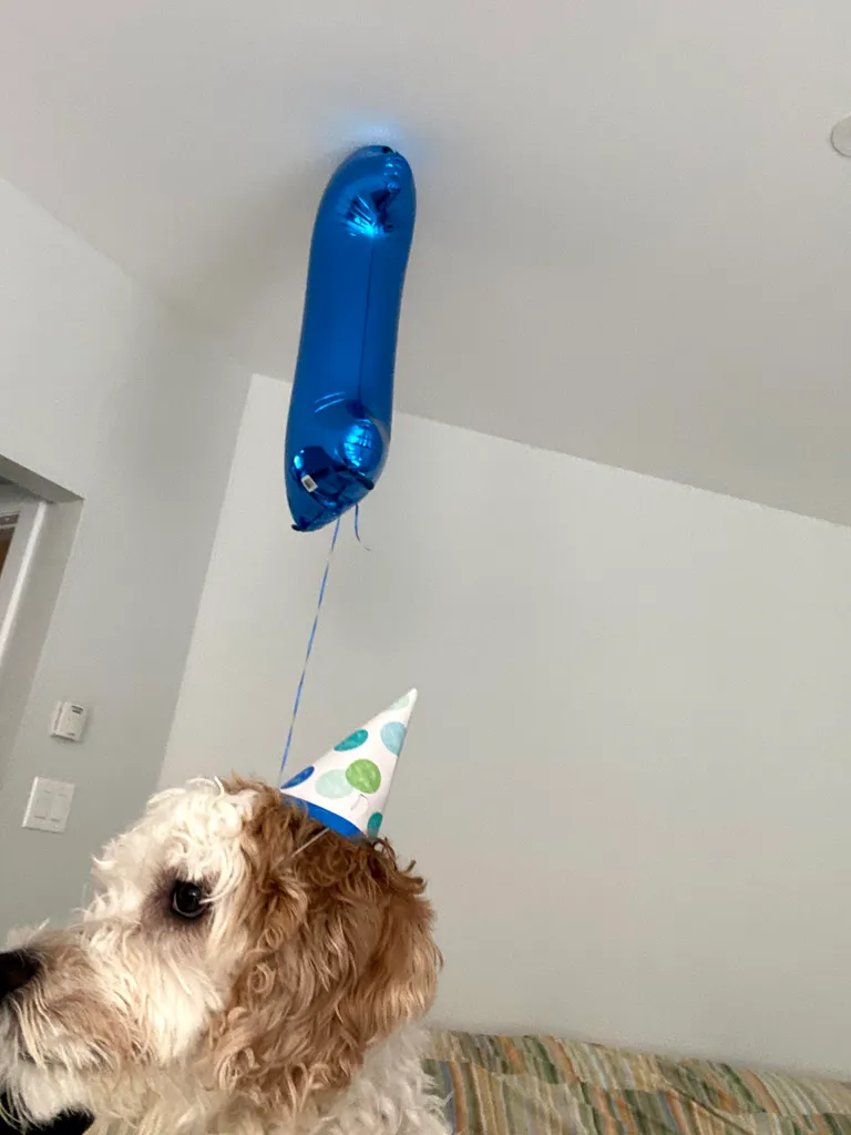 1779062967272 5sdiyq IMG 1873