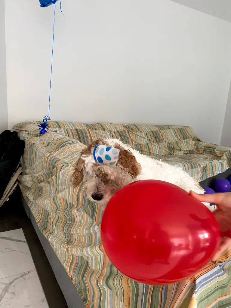 1779062967937 kattbx IMG 1878