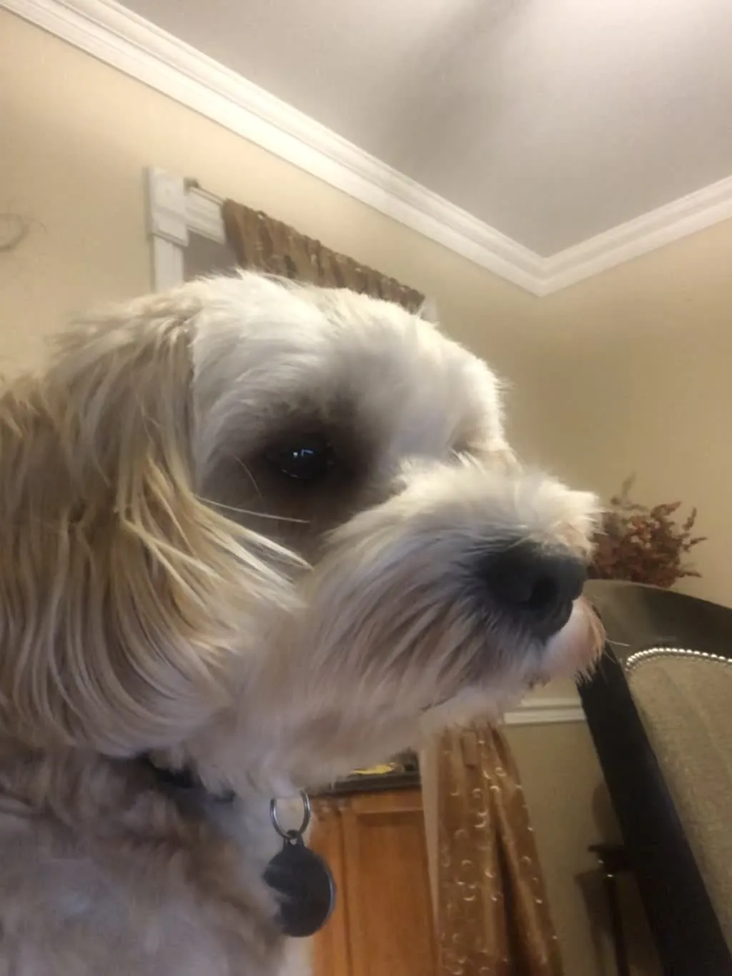 1779062968743 ix8gdp IMG 3714 1 