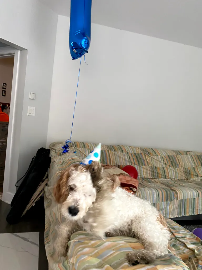 1779062969740 yo733l IMG 1876