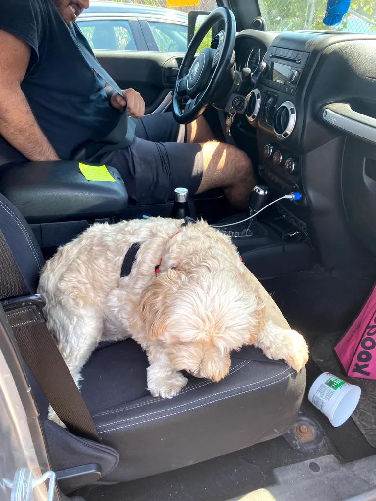 1779062982848 fxcnx5 IMG 1395