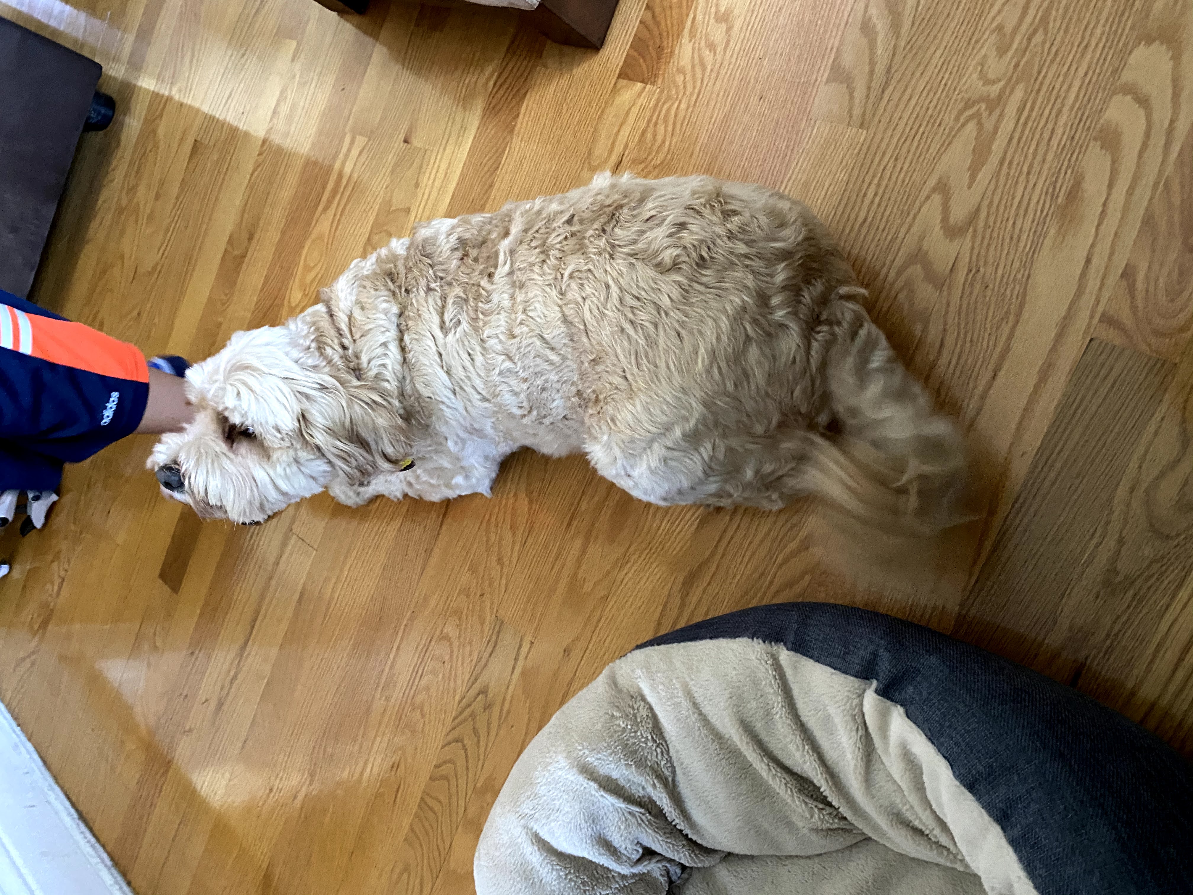 1779062990162 bq90eg IMG 1324