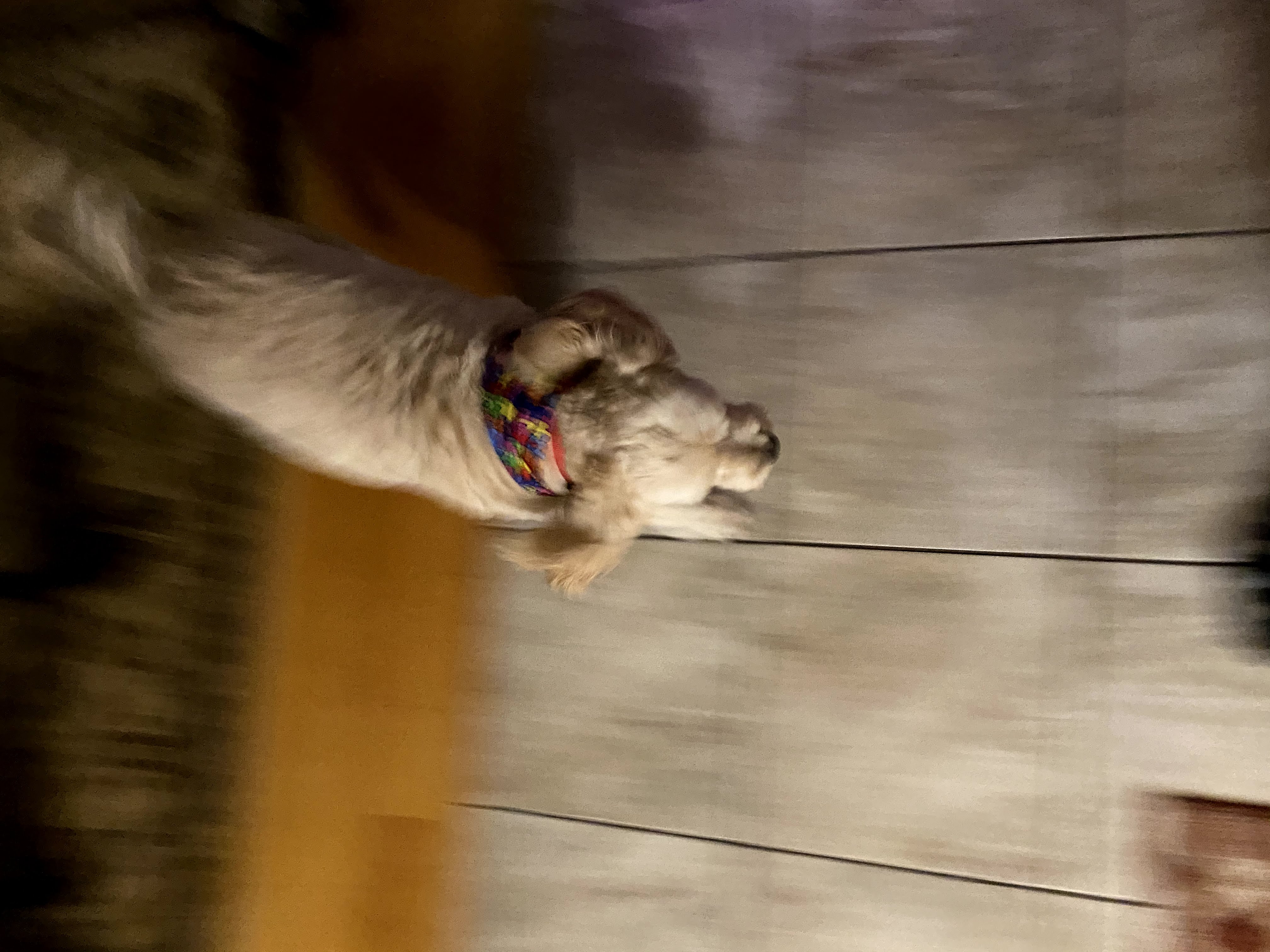 1779062997077 vyp2q6 IMG 6849