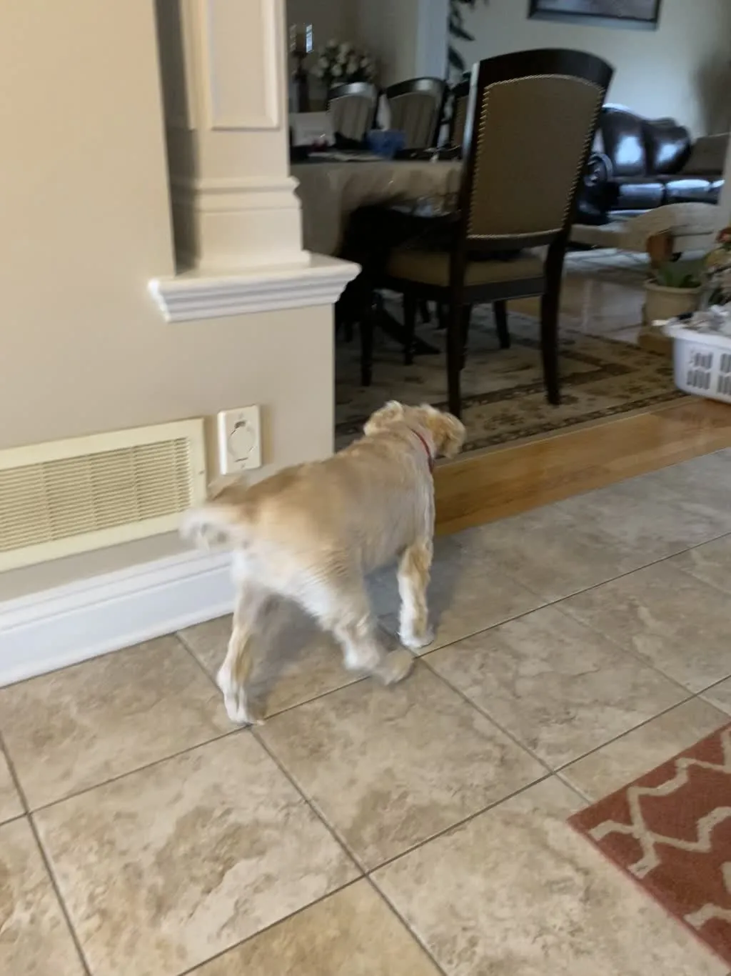 1779063003005 1m07uh IMG 7011