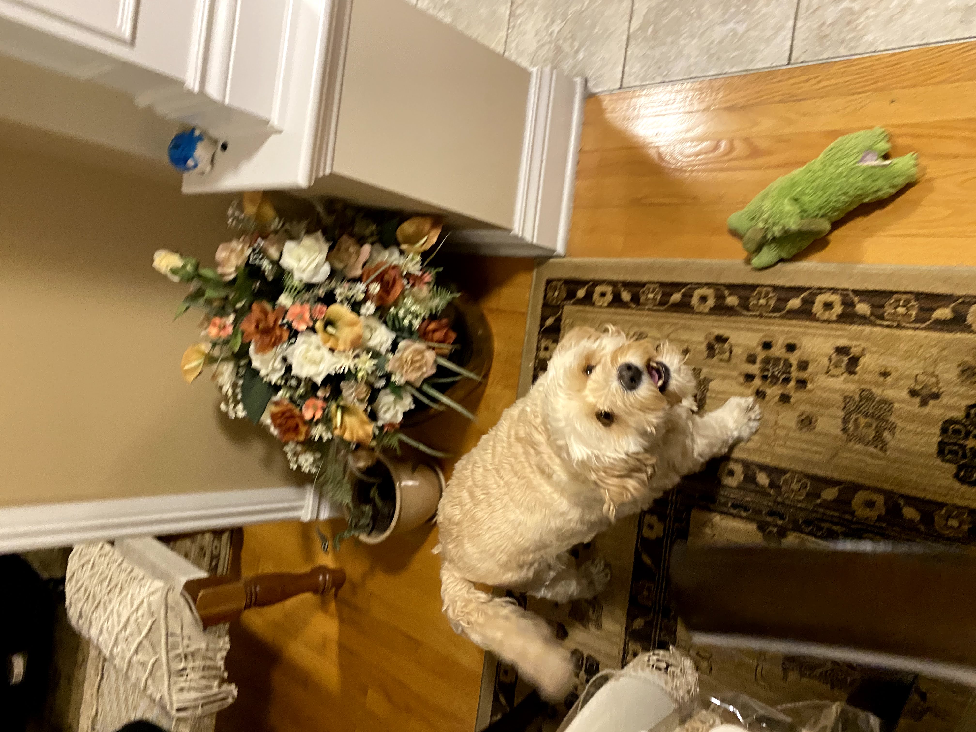 1779063006423 y5ueax IMG 6401