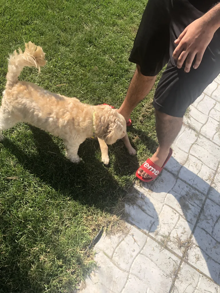 1779063012737 19gkzf IMG 3538