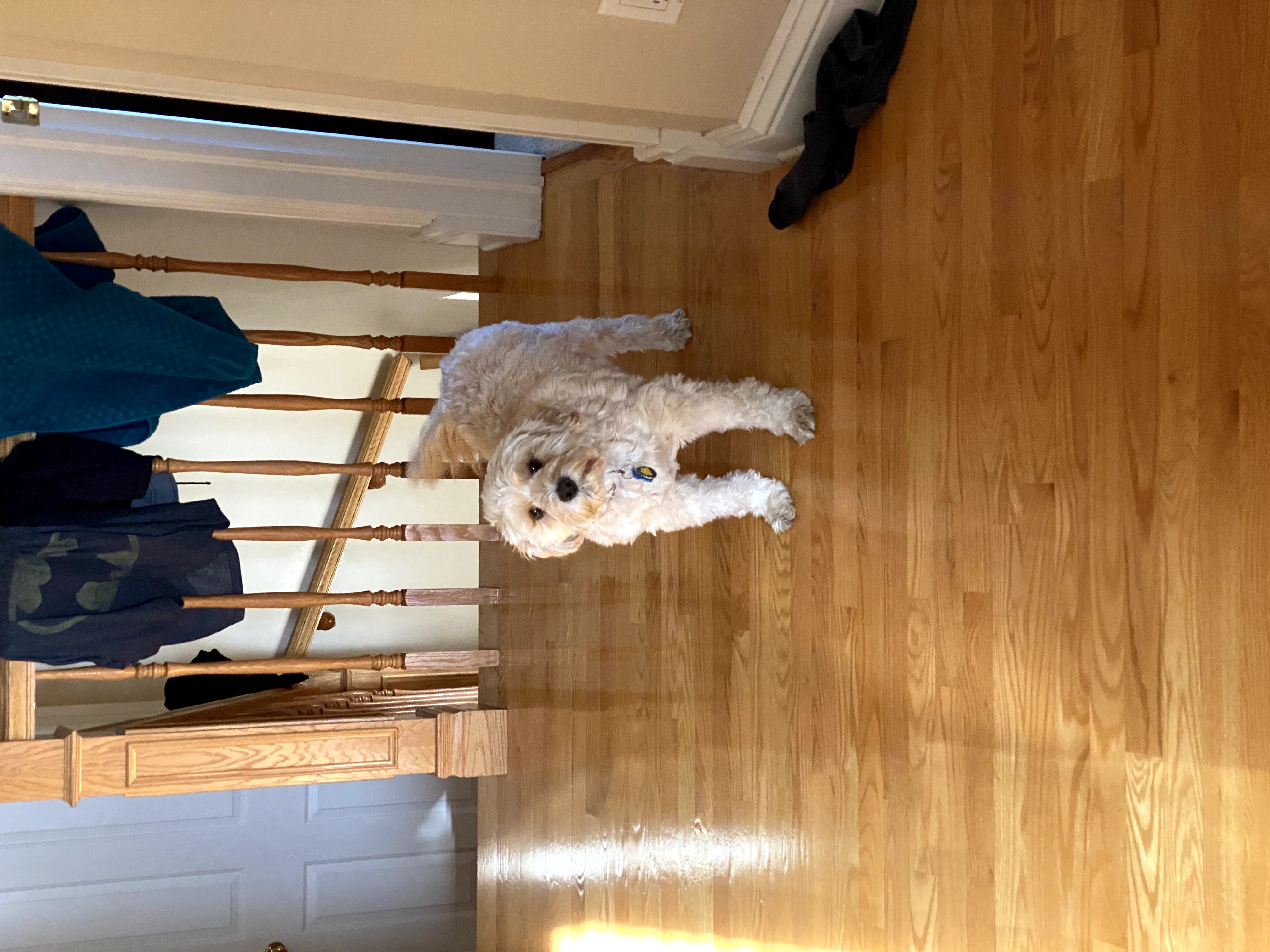 1779063013584 93q3uw IMG 6453