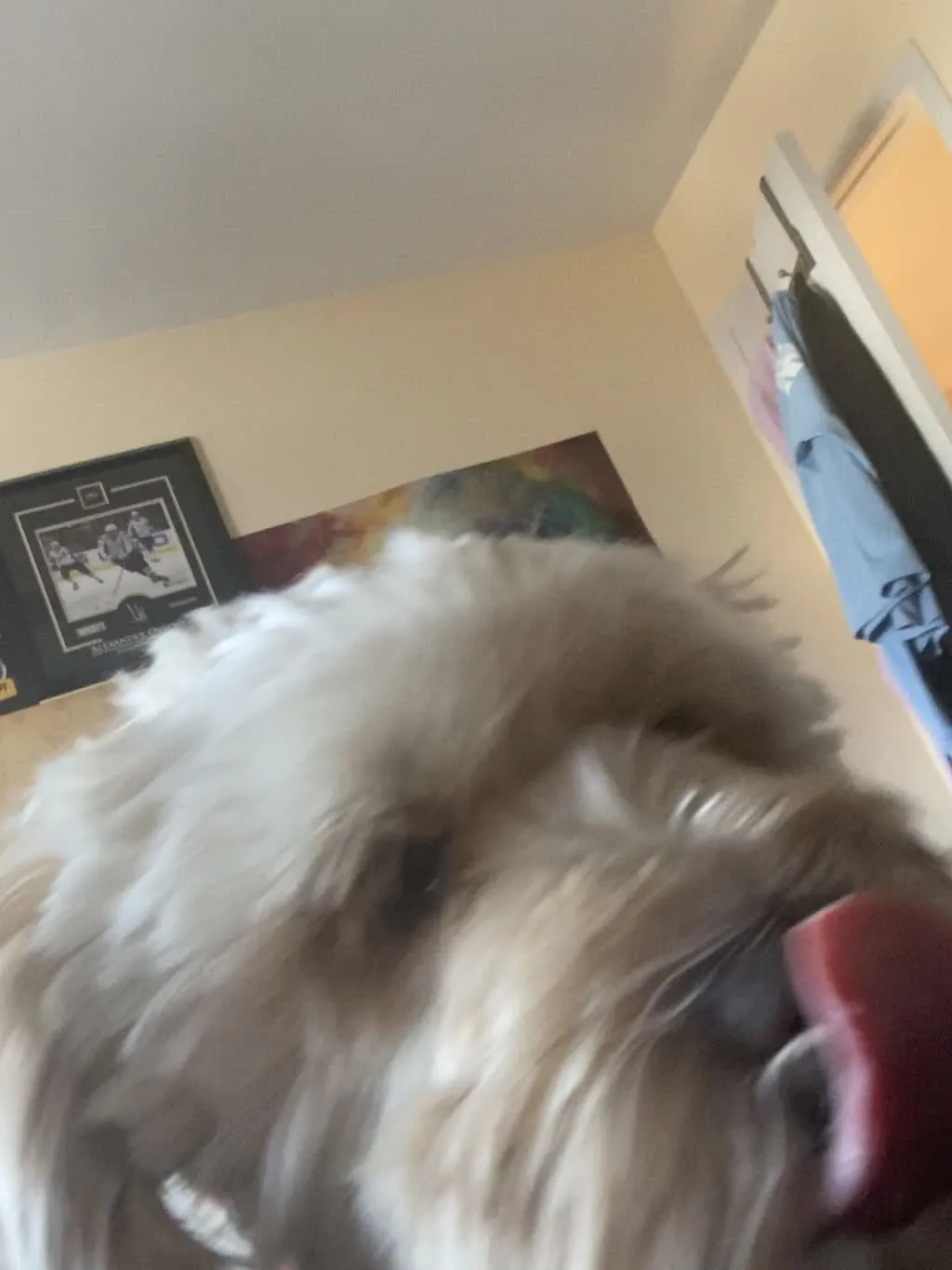 1779063014157 5v0gj6 IMG 6131