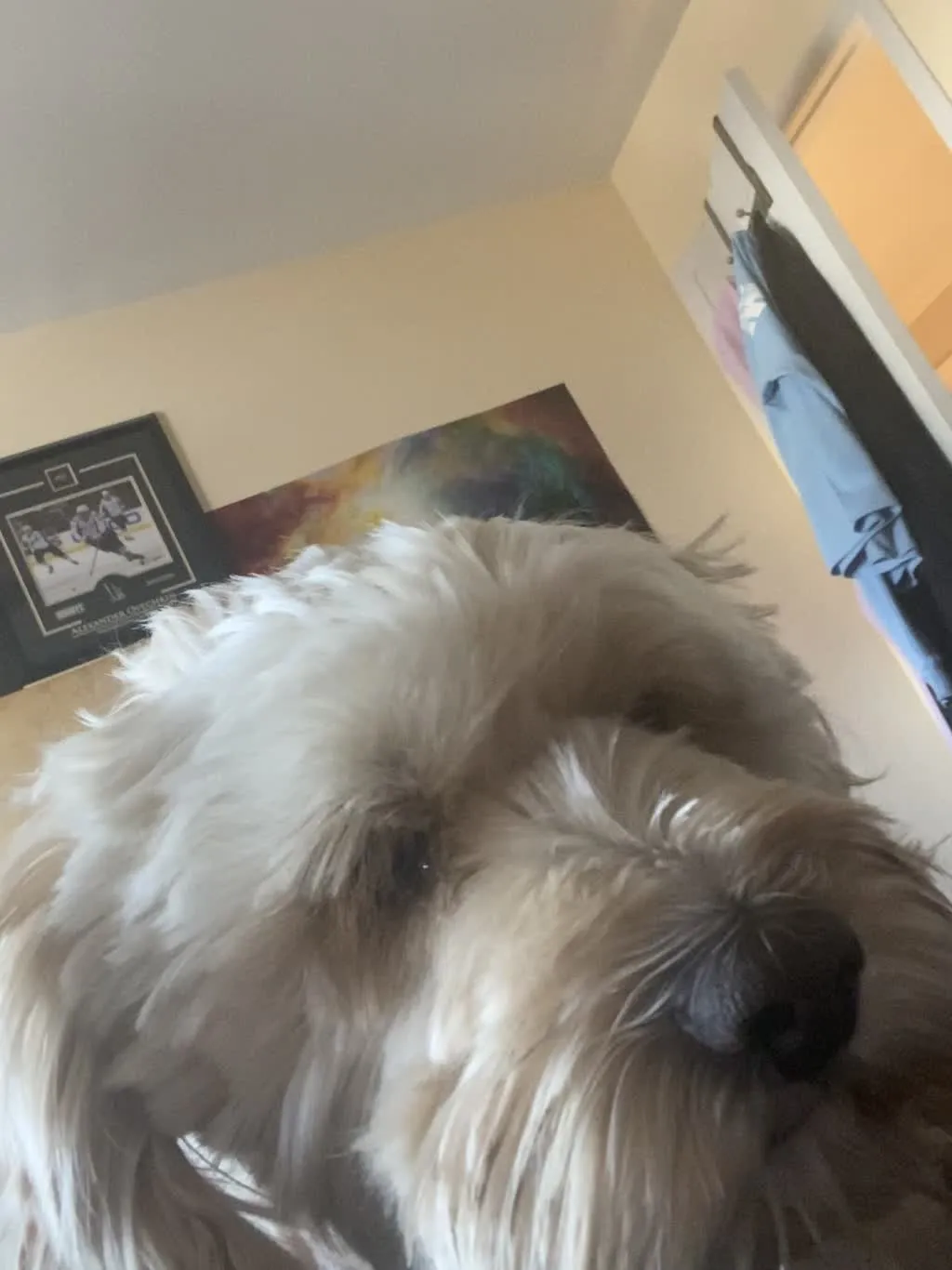1779063025184 0iqc7x IMG 6133