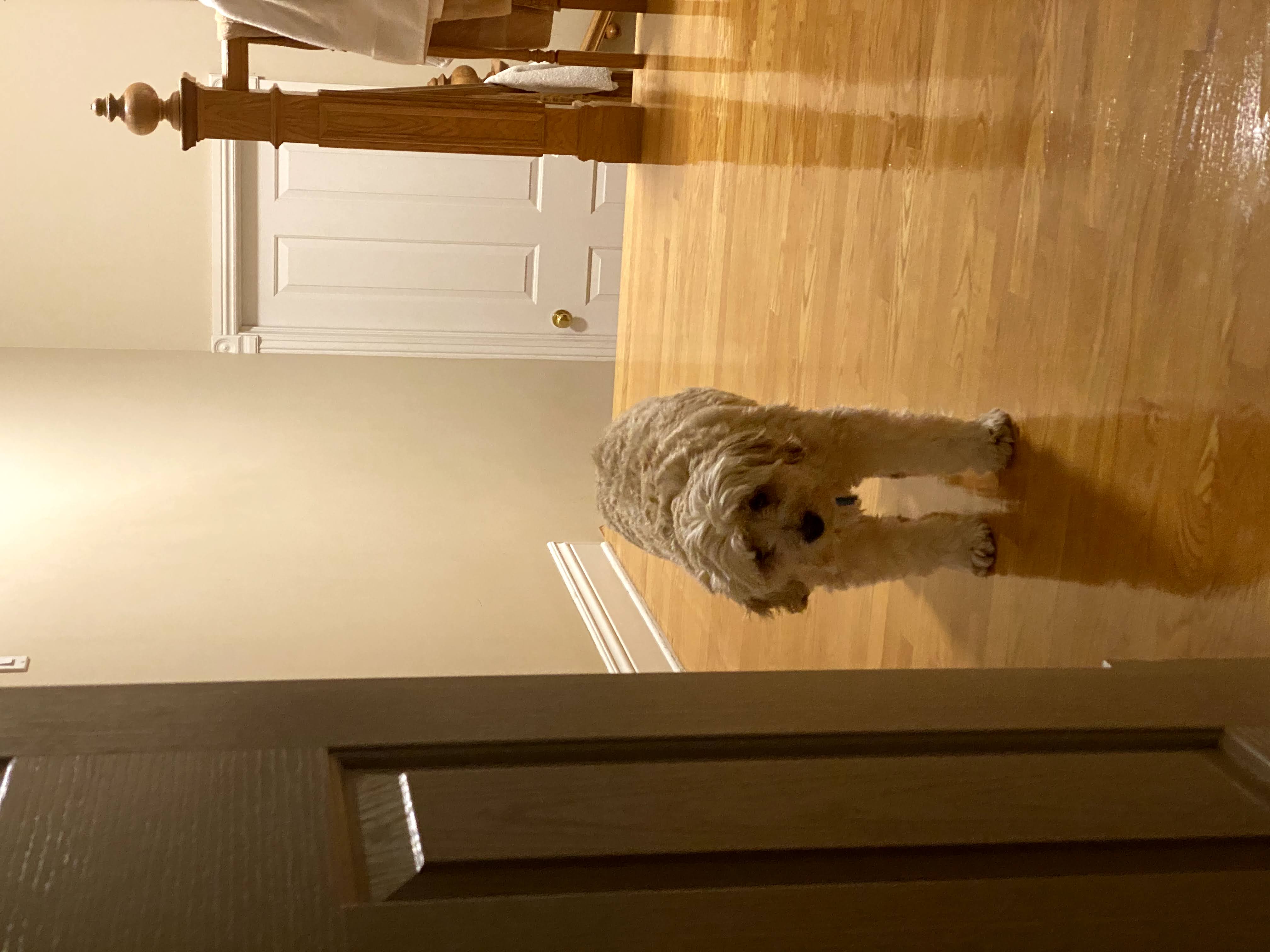 1779063027557 ypdzlv IMG 5628