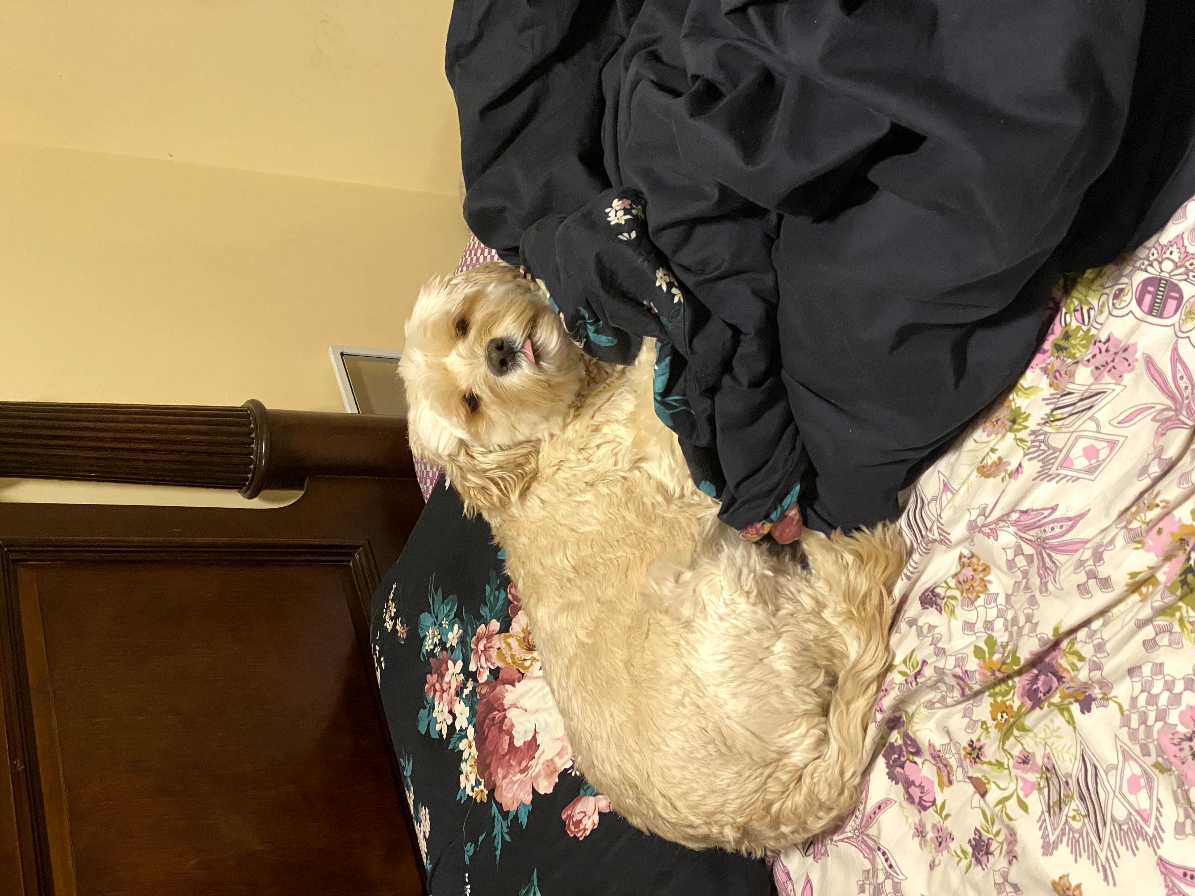 1779063030995 d5whib IMG 5391