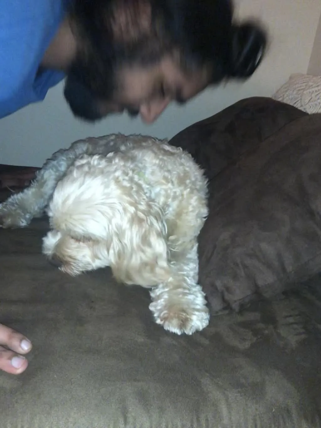 1779063038500 z3mgcq IMG 4111