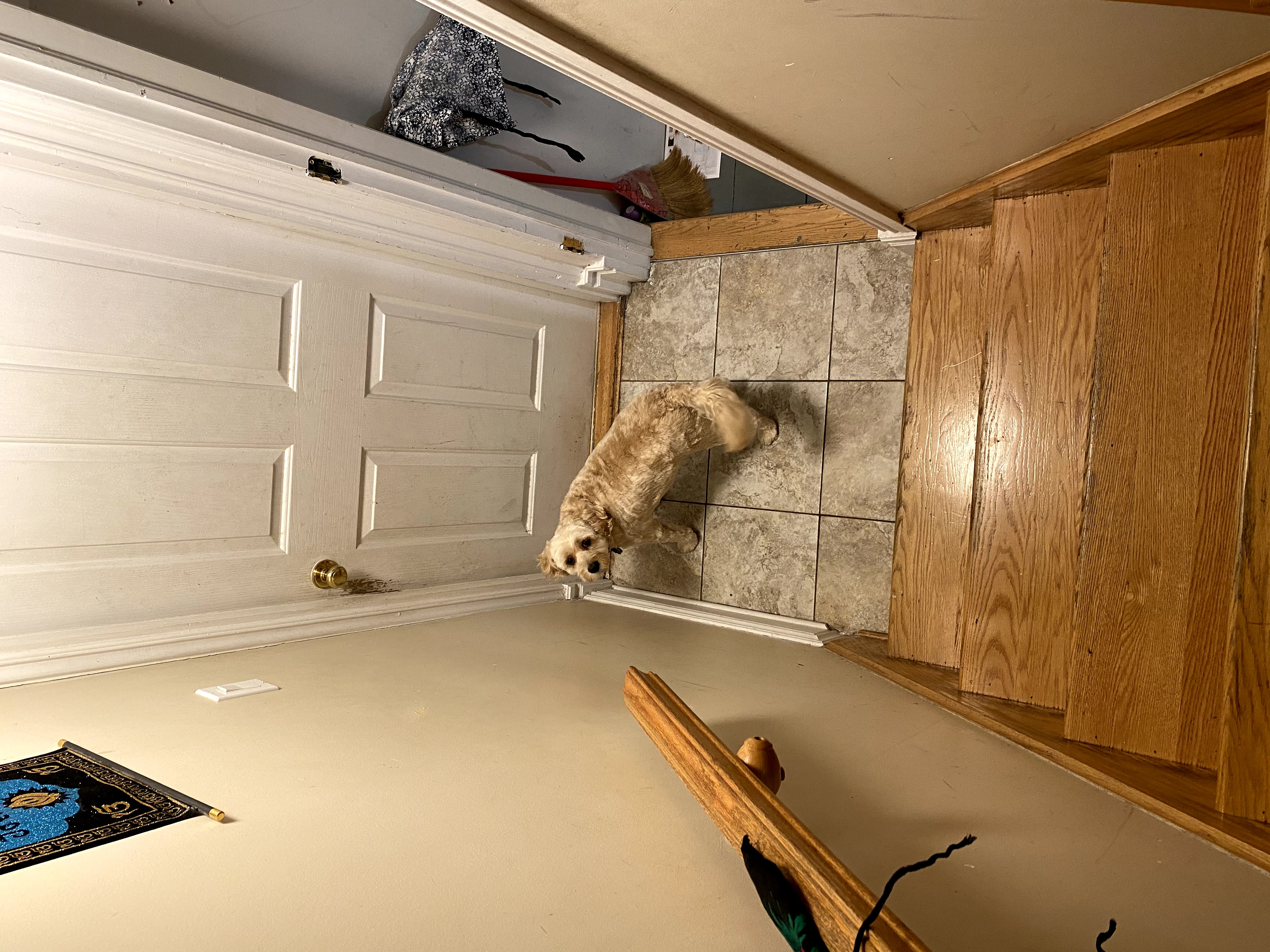 1779063042464 35n97x IMG 4689