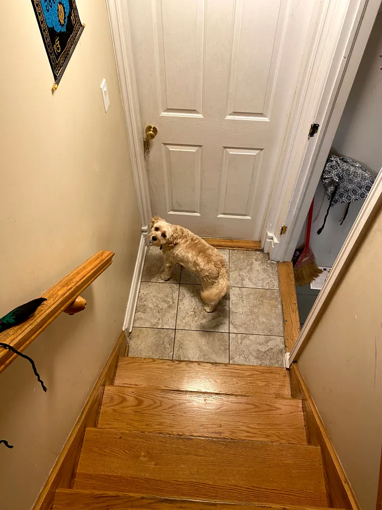 1779063042464 35n97x IMG 4689