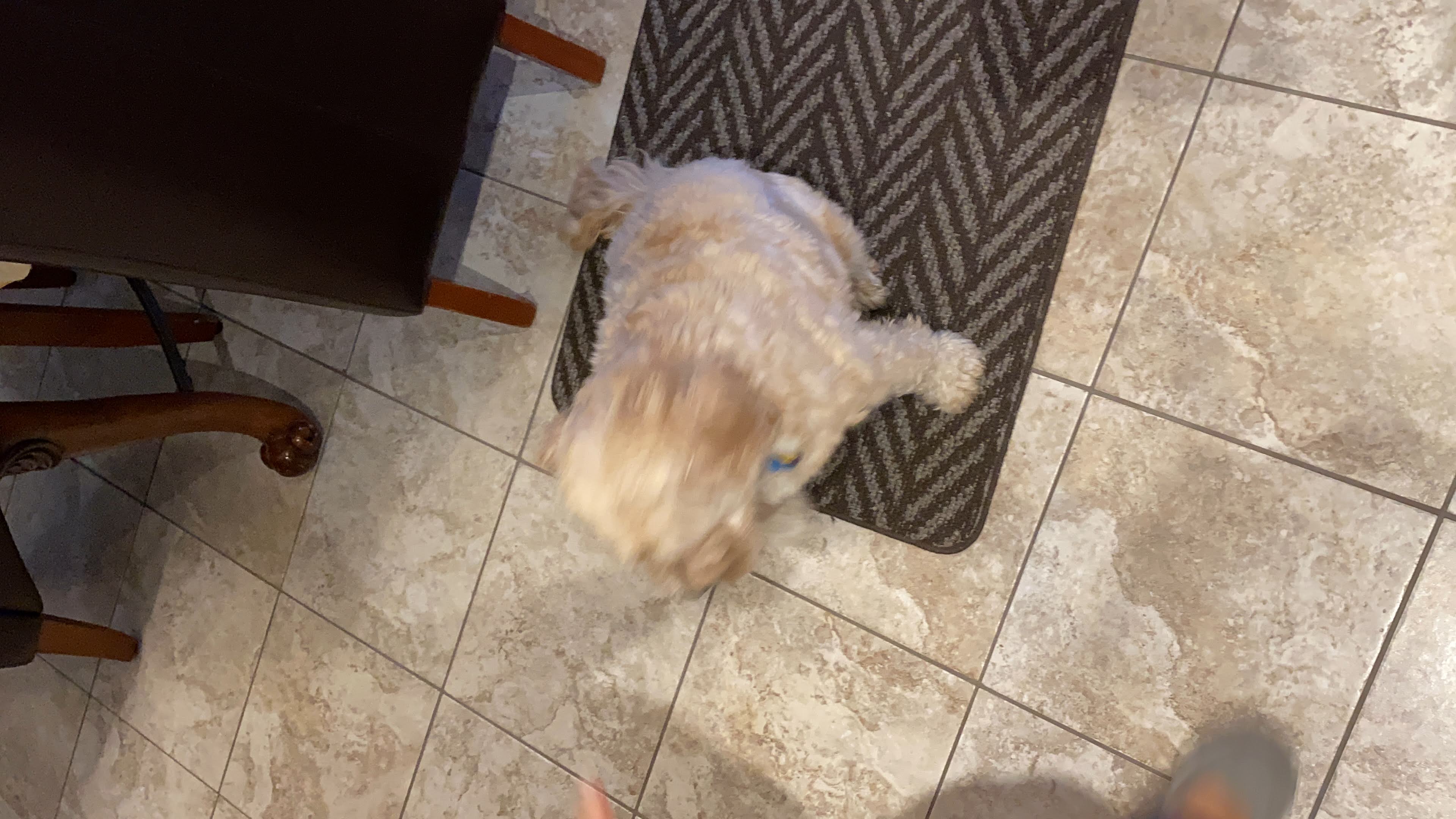 1779063042960 odmmg0 IMG 4521