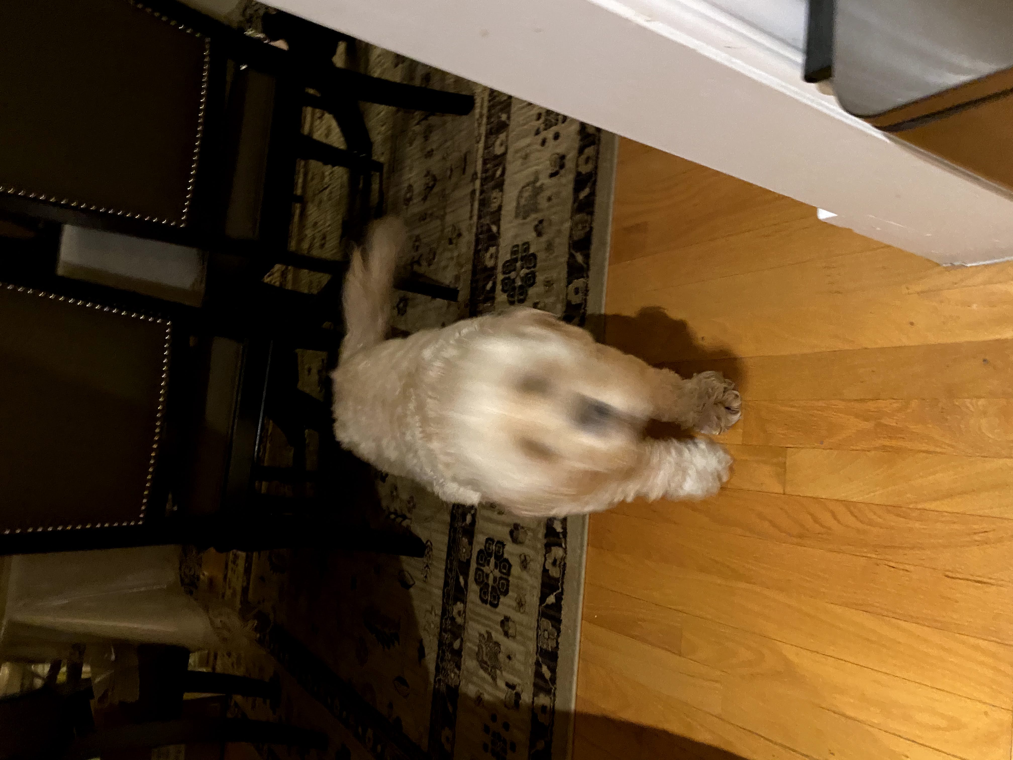 1779063043271 6rsqzk IMG 4441