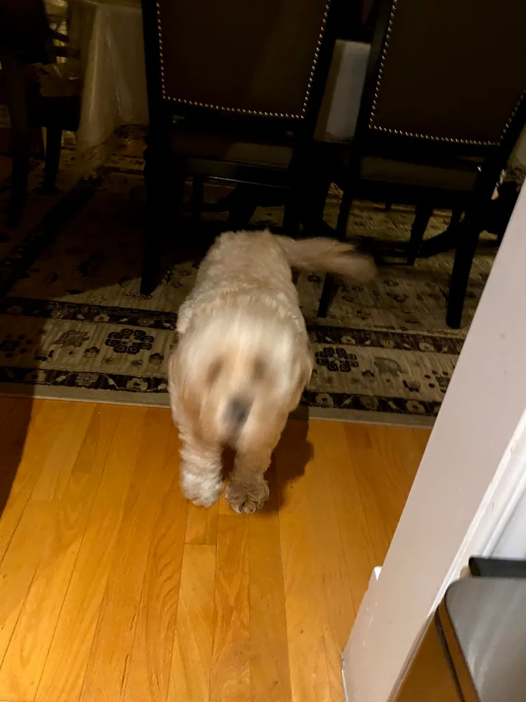 1779063043271 6rsqzk IMG 4441