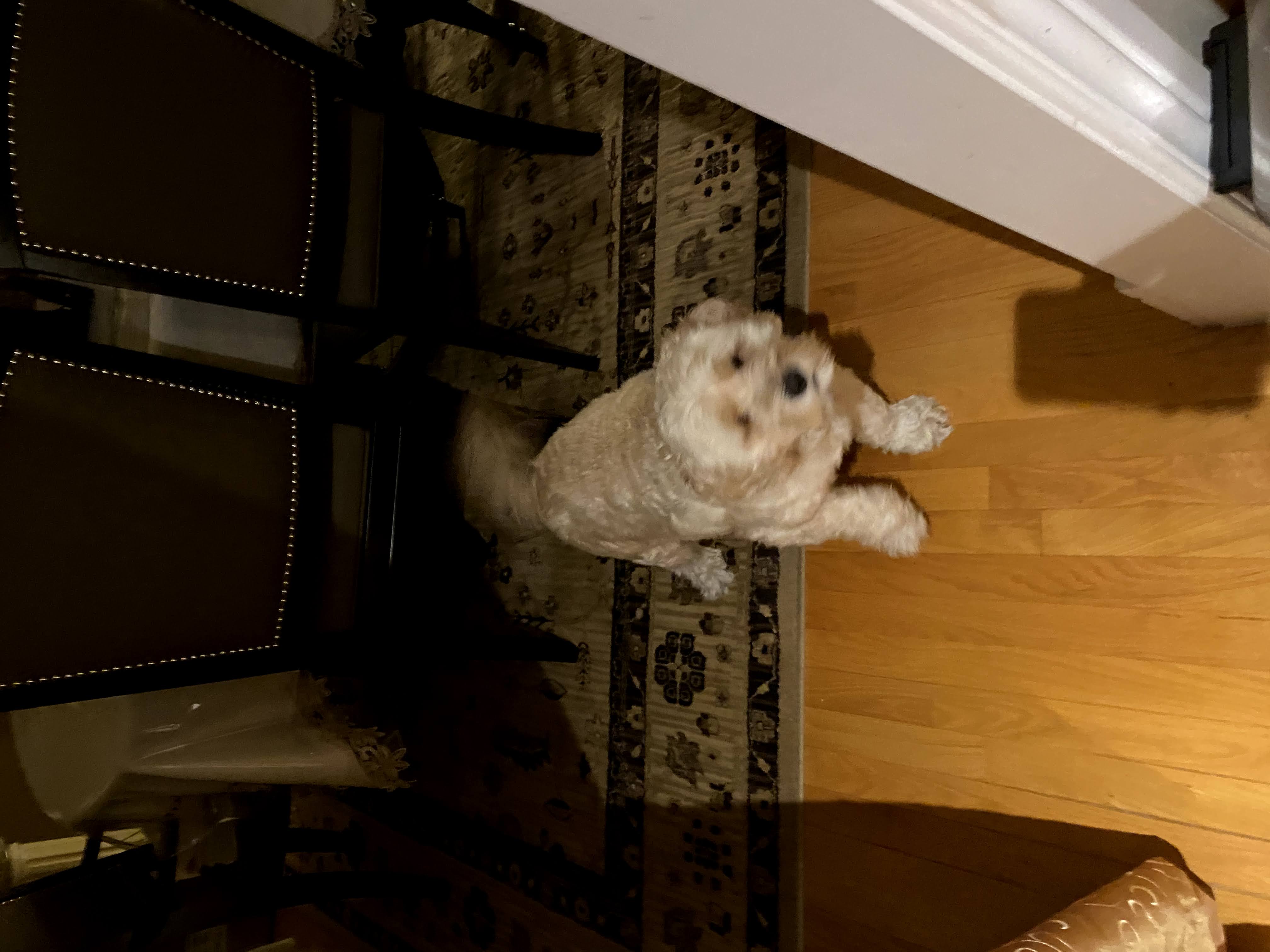 1779063044289 5g25tc IMG 4439 1 