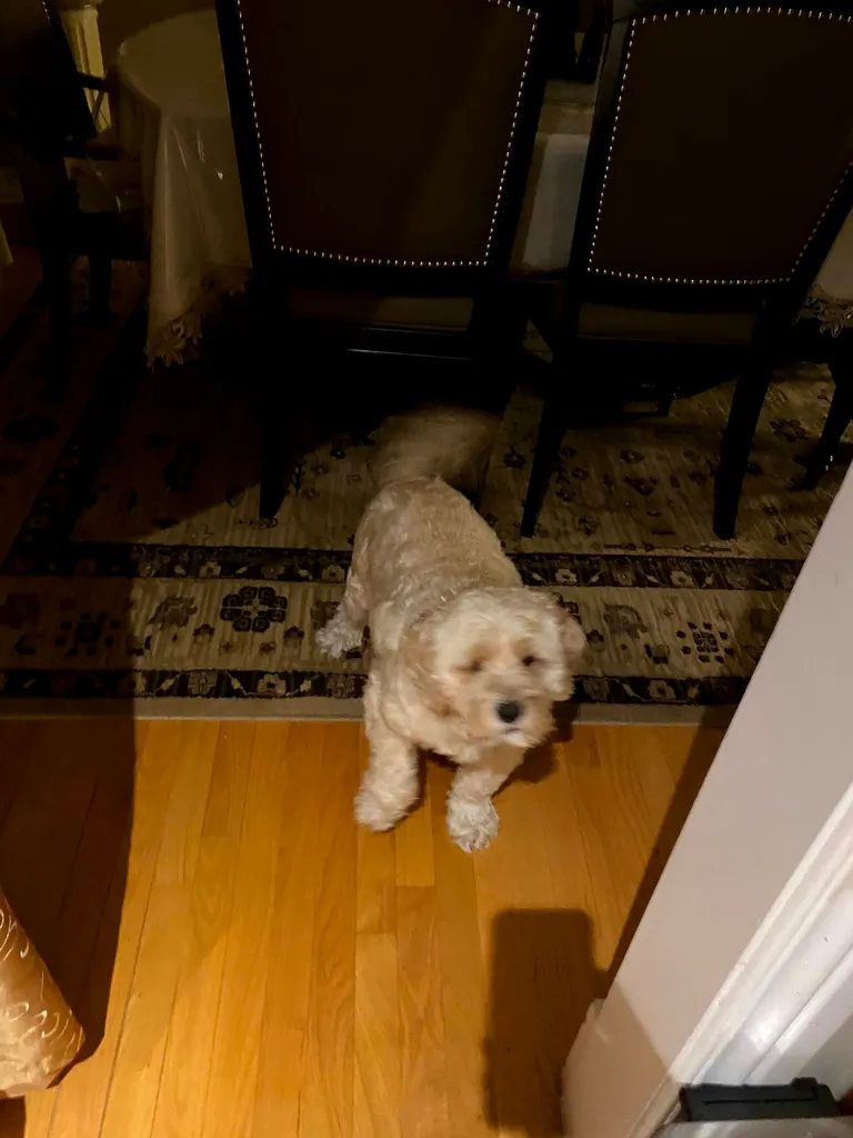 1779063044289 5g25tc IMG 4439 1 