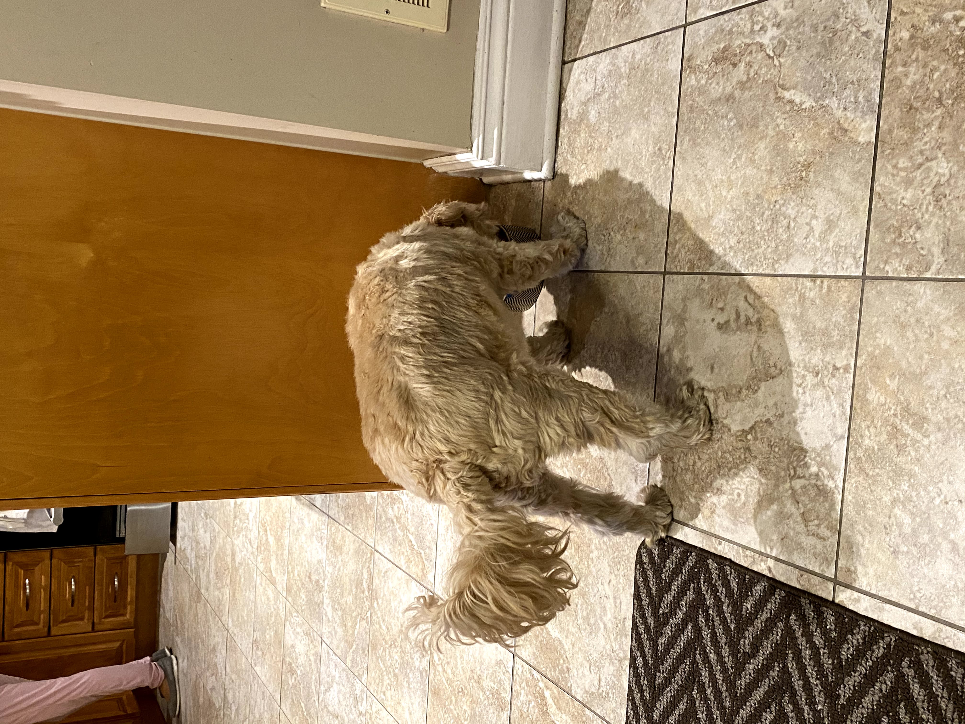1779063044584 4xdsnq IMG 4256