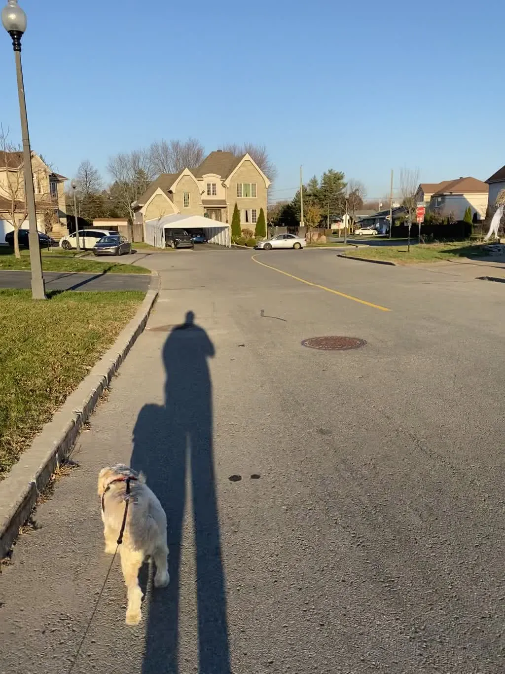 1779063049703 8lhmxu IMG 4077