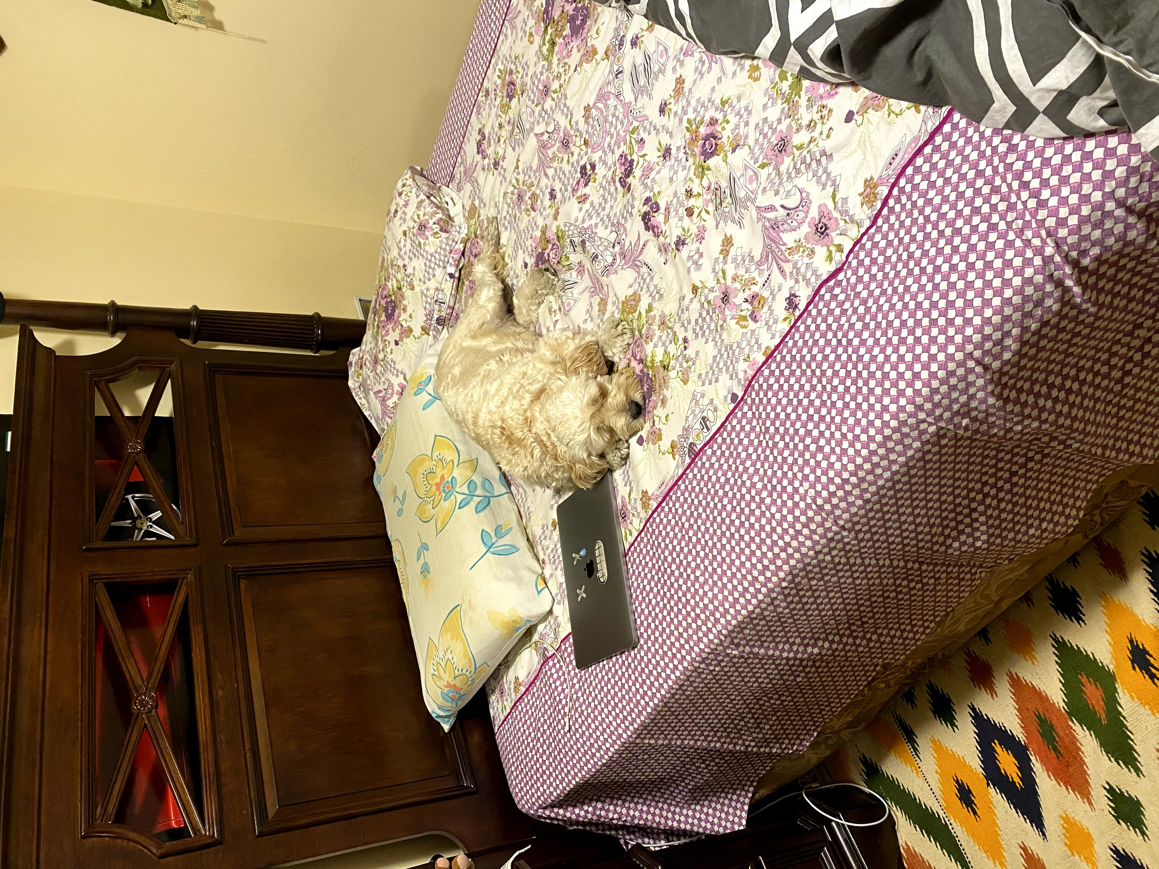1779063051036 3wrqgz IMG 4174