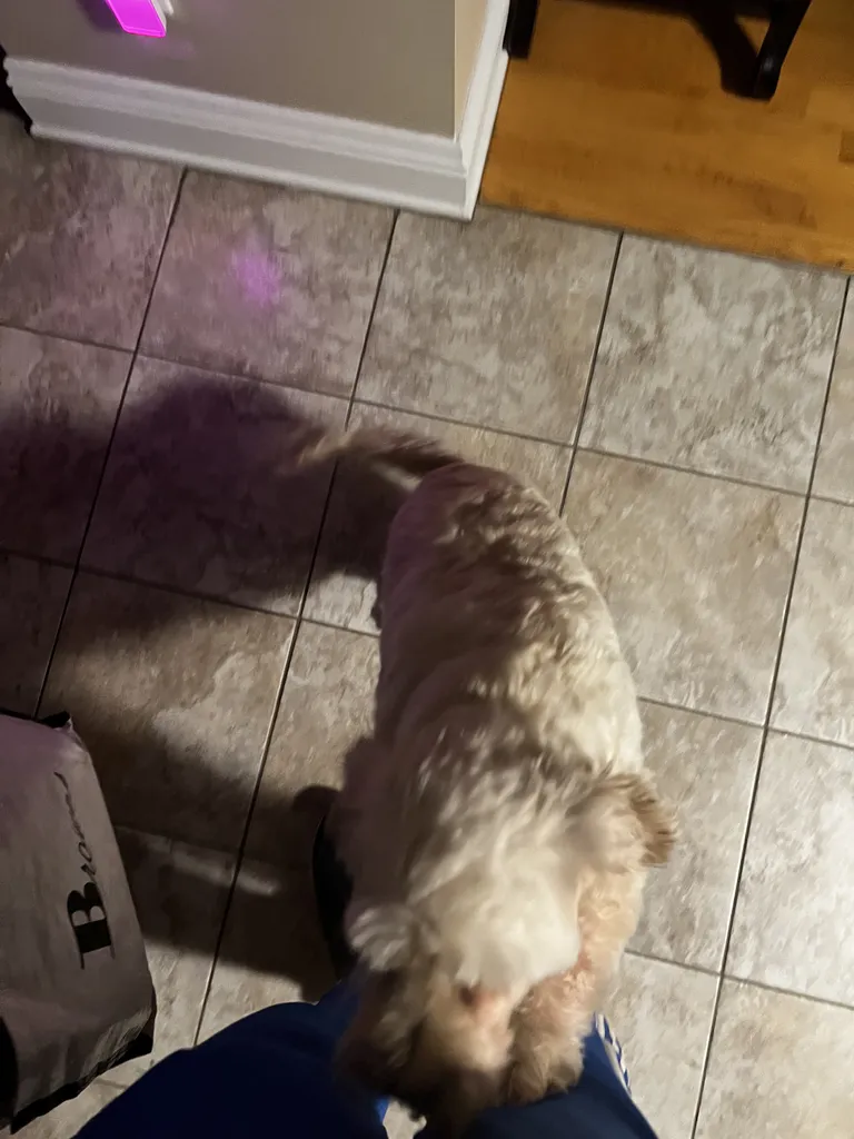 1779063053766 lrkj4w IMG 0580