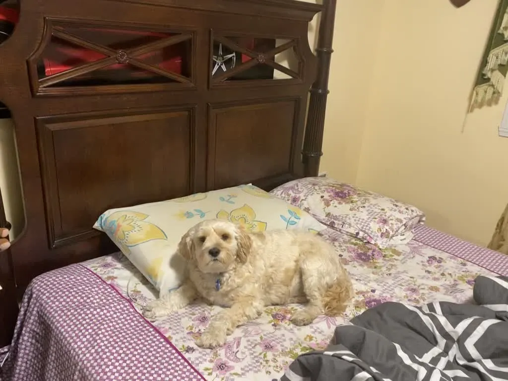 1779063053984 1em11t IMG 4159