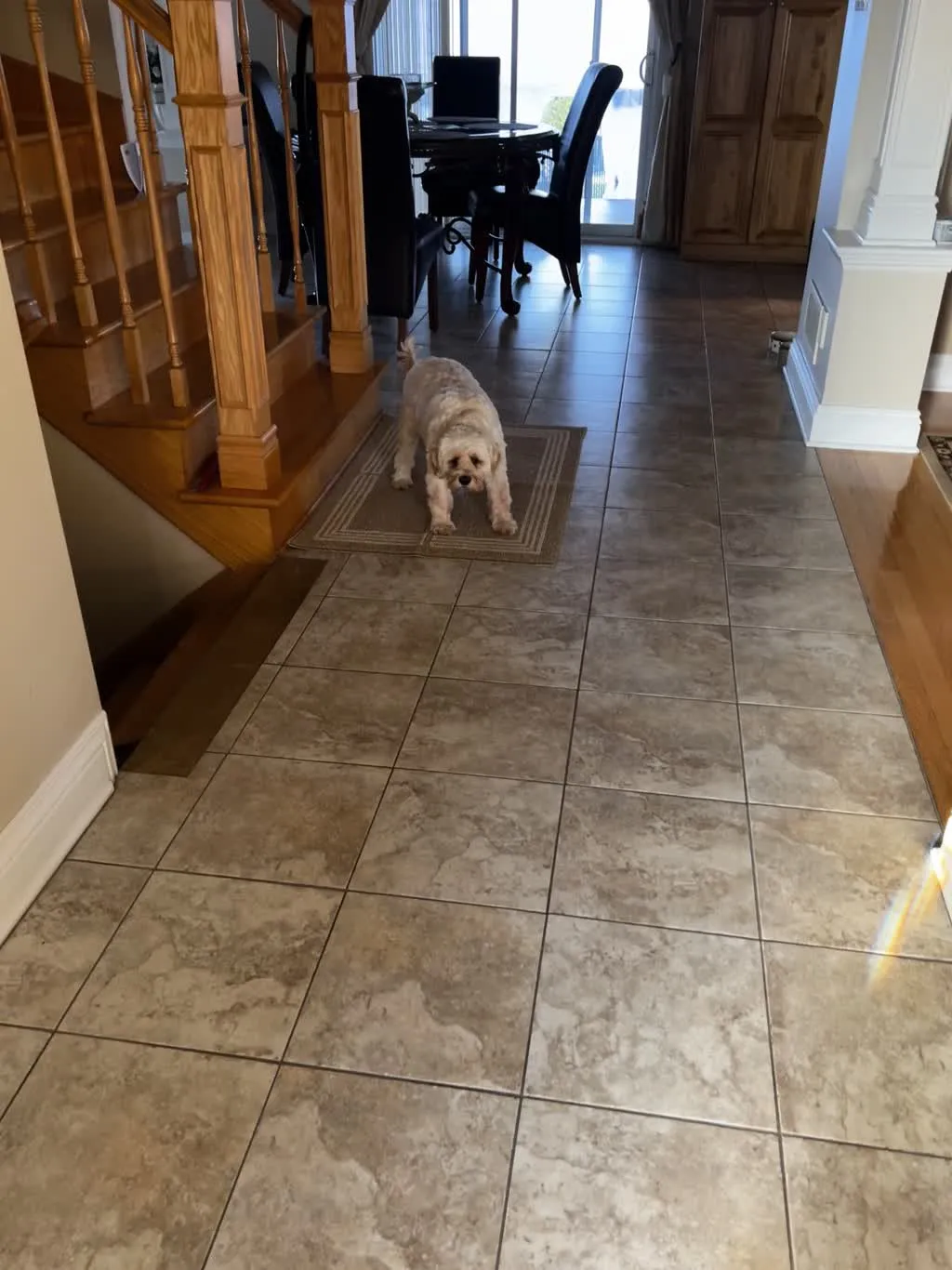1779063059215 d843rf IMG 0505