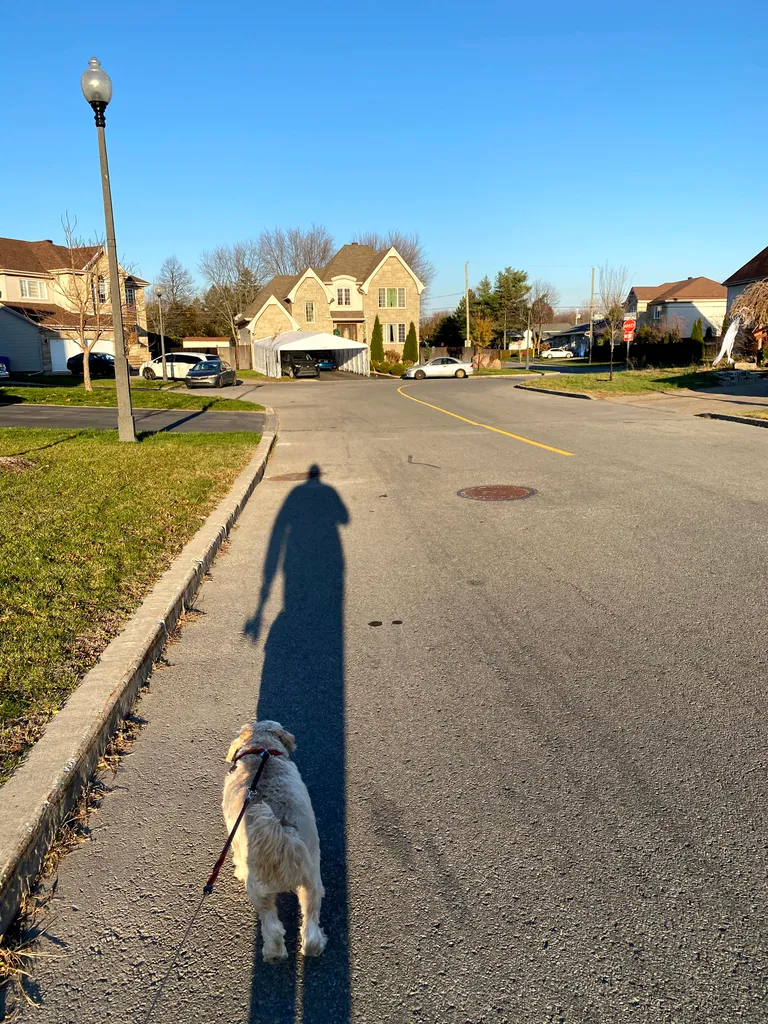1779063063227 jv7f4k IMG 4077