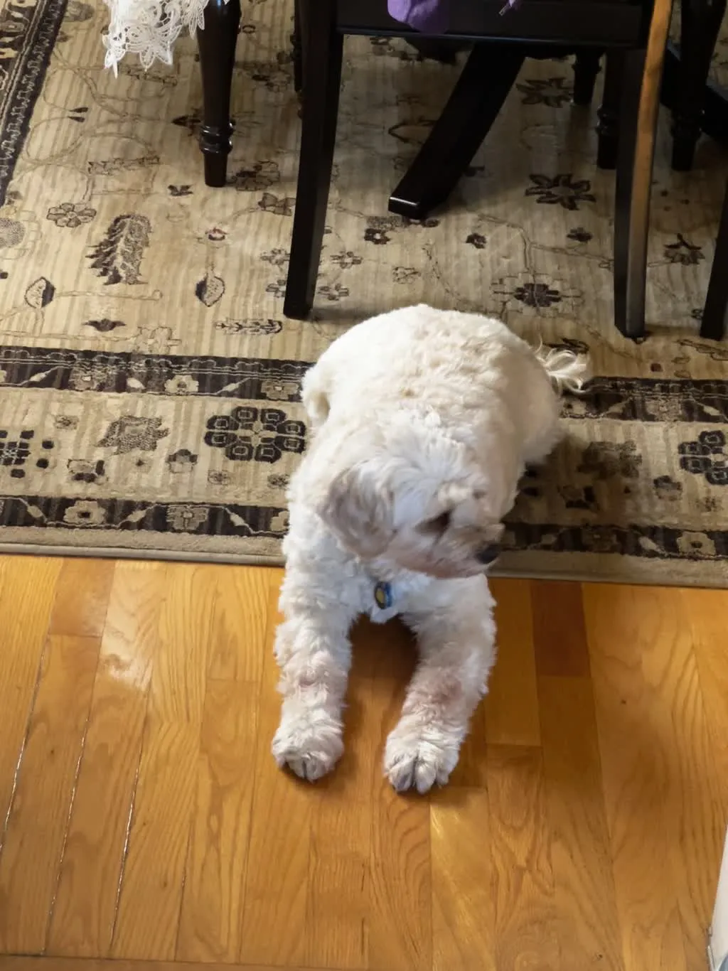 1779063063553 0zh8k7 IMG 0562
