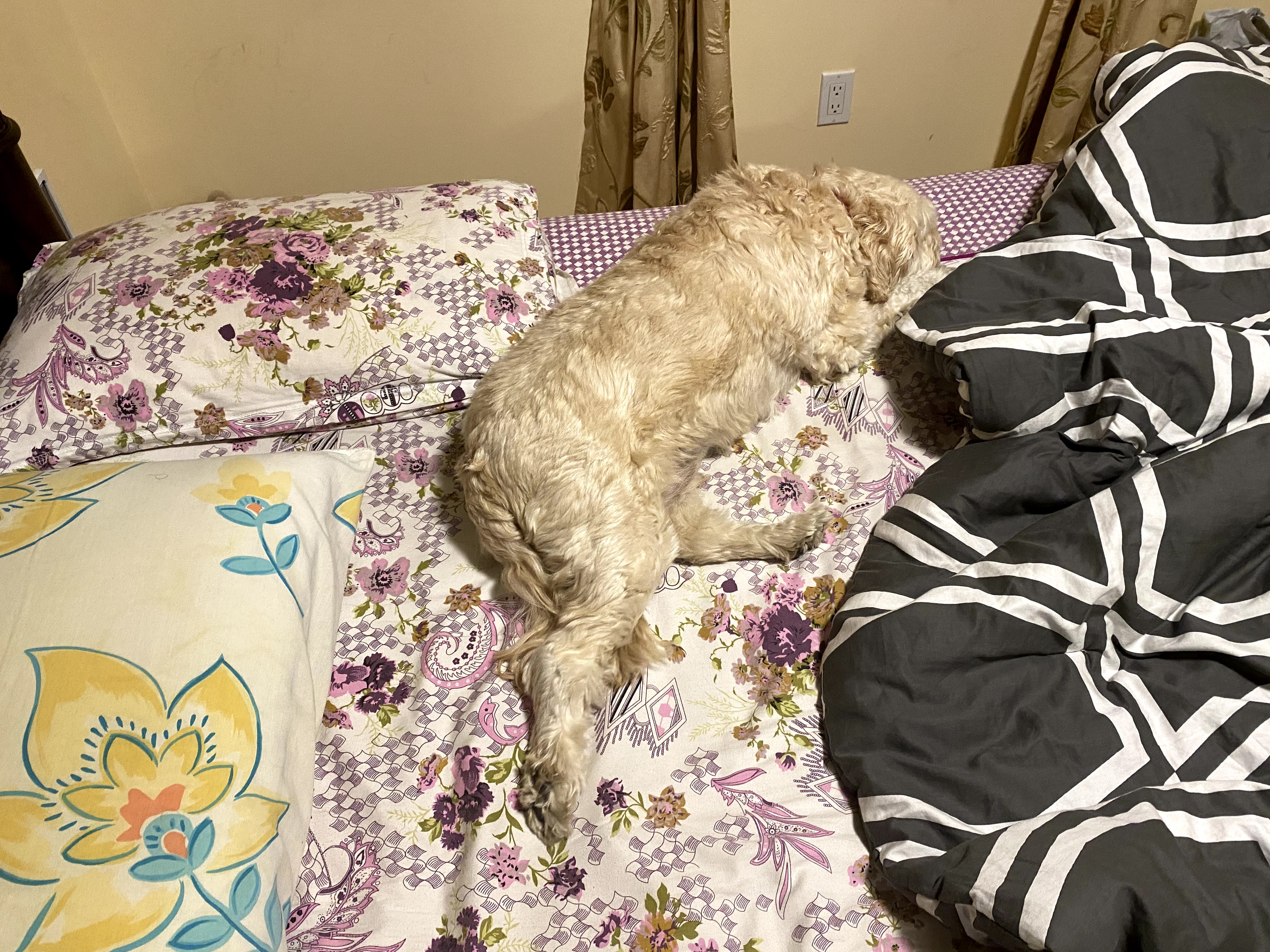 1779063063705 3hygbx IMG 4165
