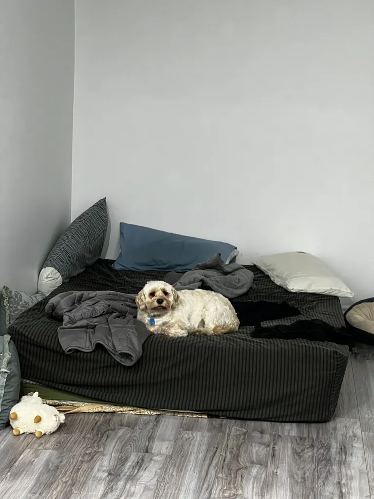 1779063065039 fzmoha IMG 0493