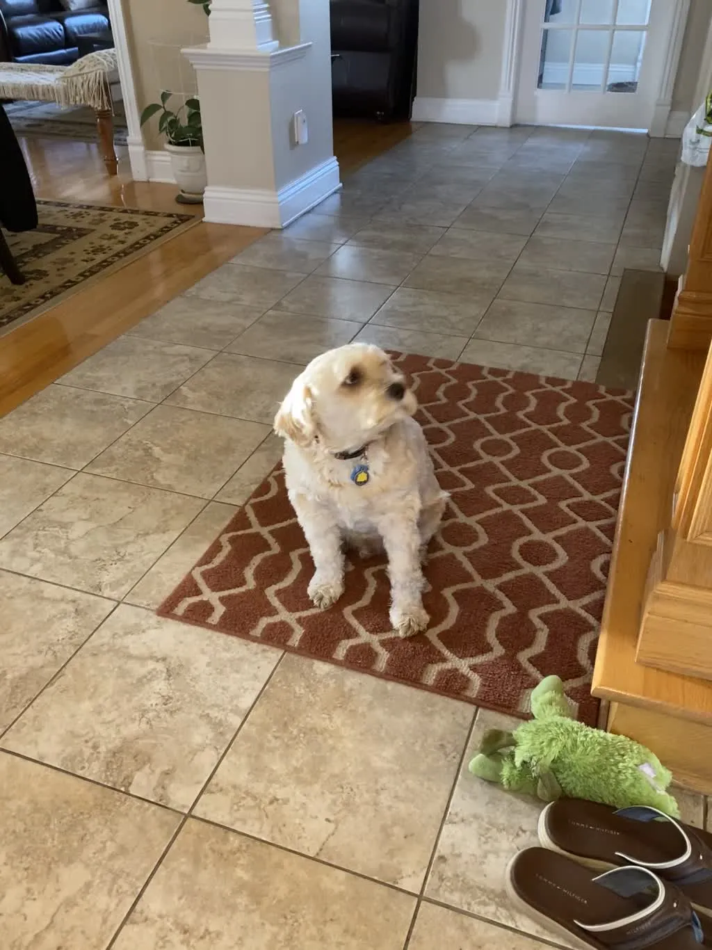 1779063066175 ctgzqd IMG 4132