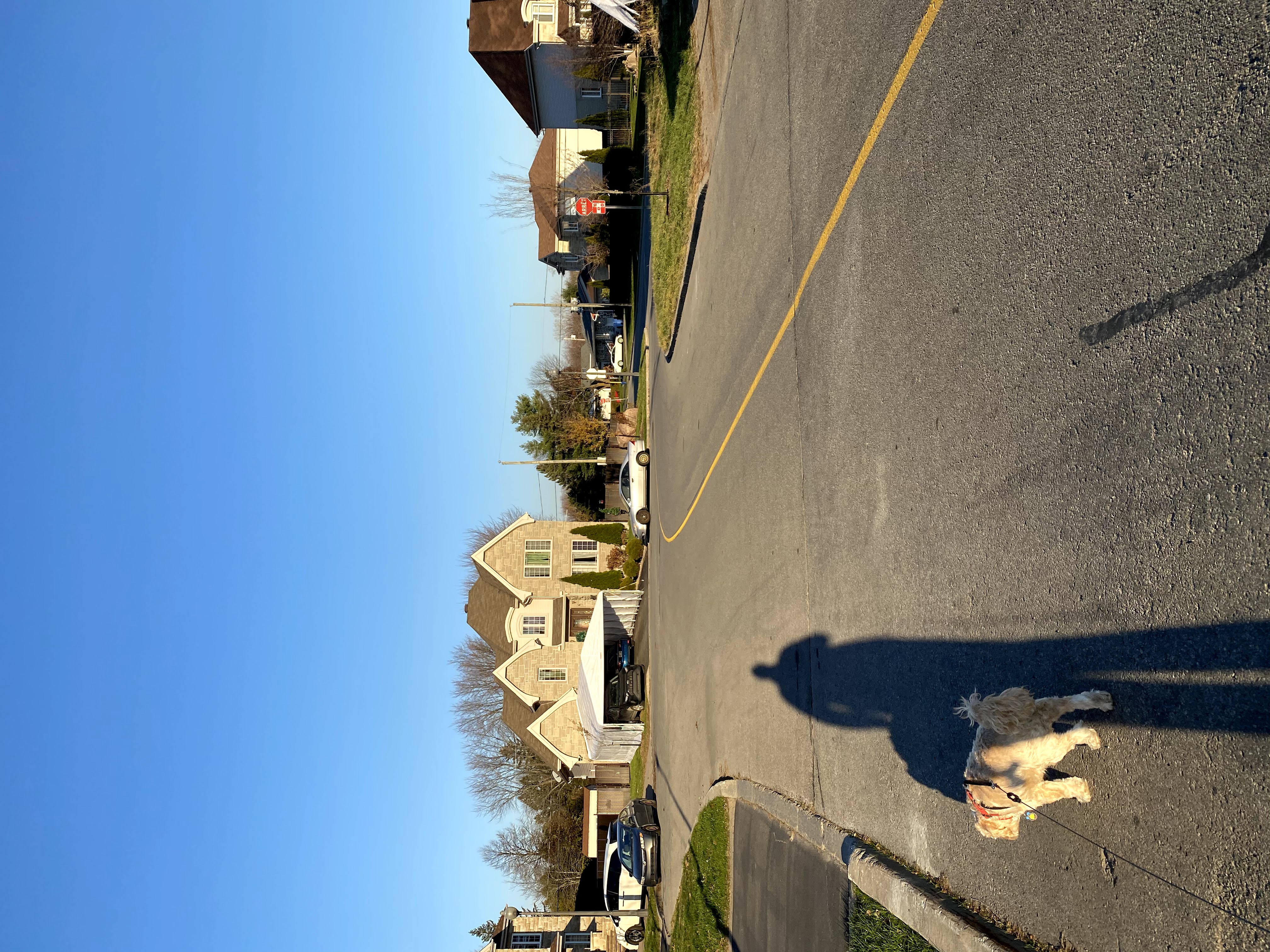 1779063094145 7405jn IMG 4080