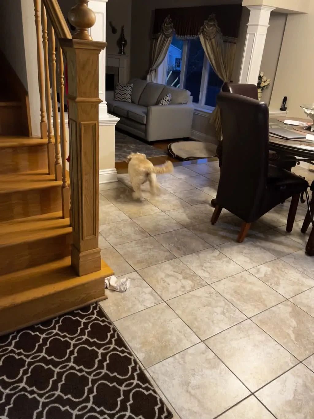 1779063097960 xan64n IMG 0217