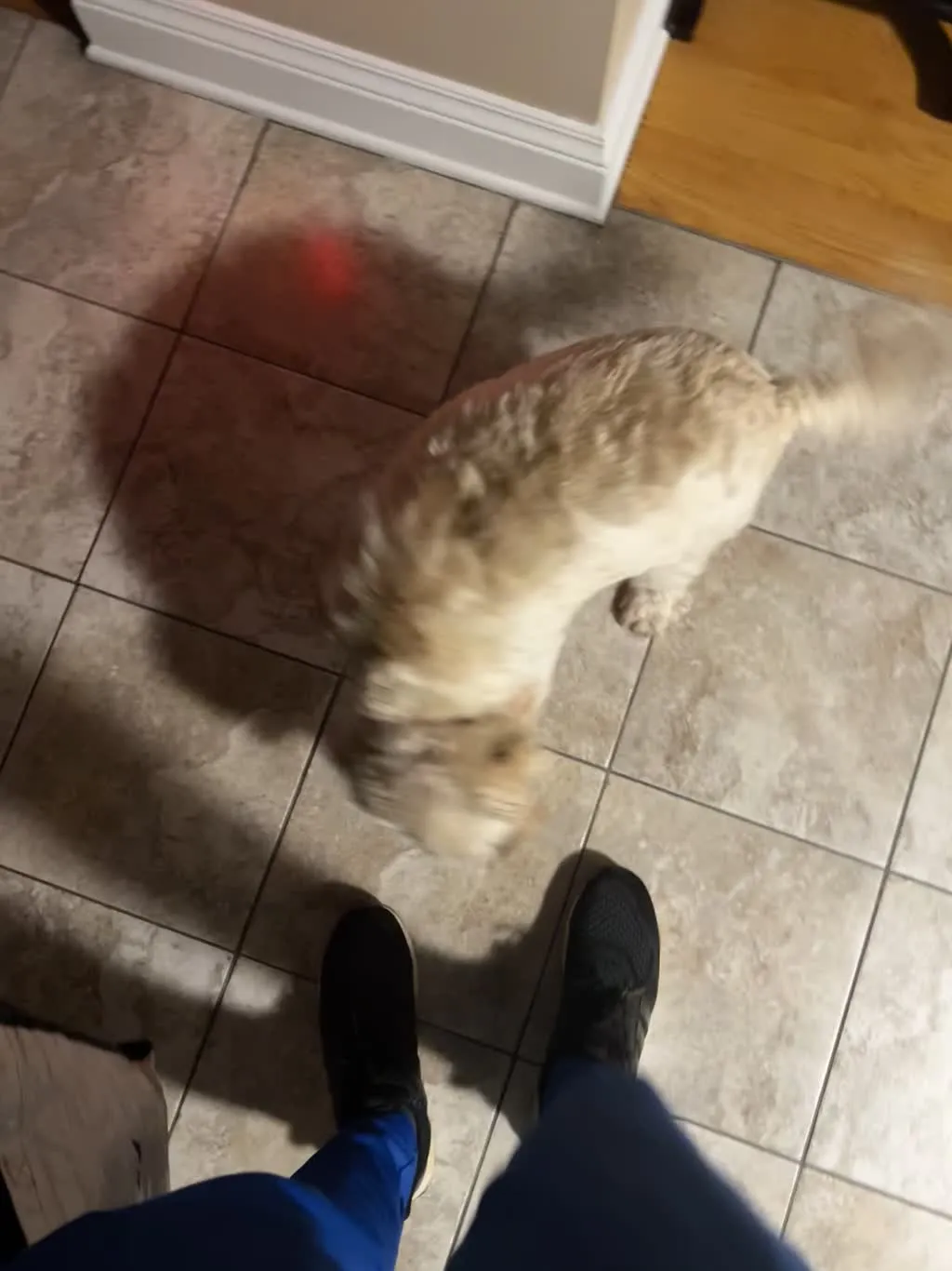 1779063102495 spwjje IMG 0580