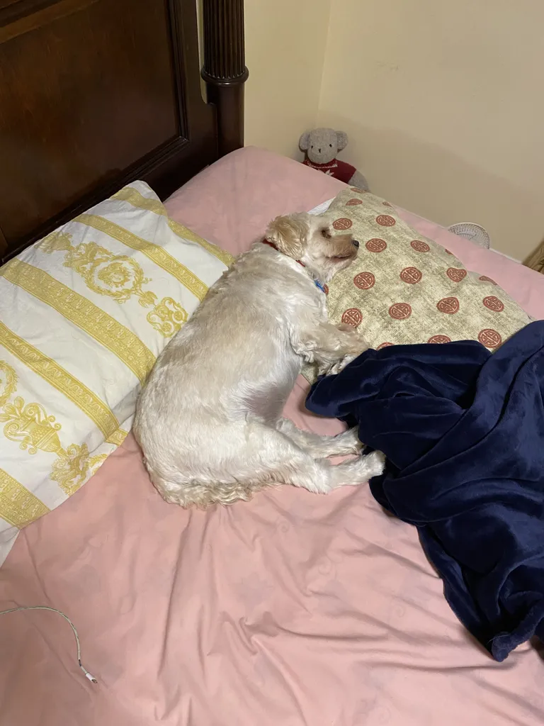 1779063111921 nydvuw IMG 0981