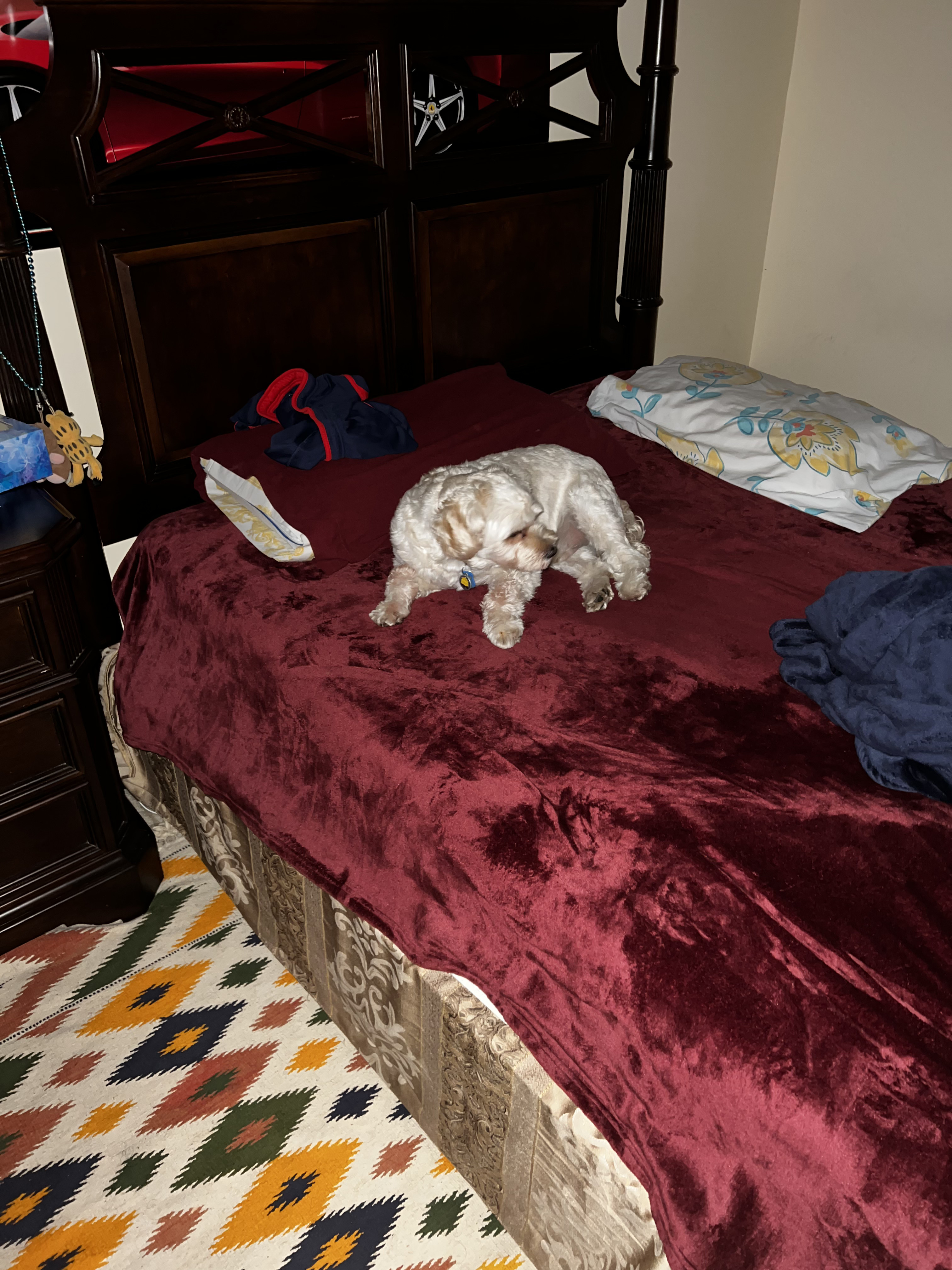 1779063117573 c2182e IMG 0186 1 