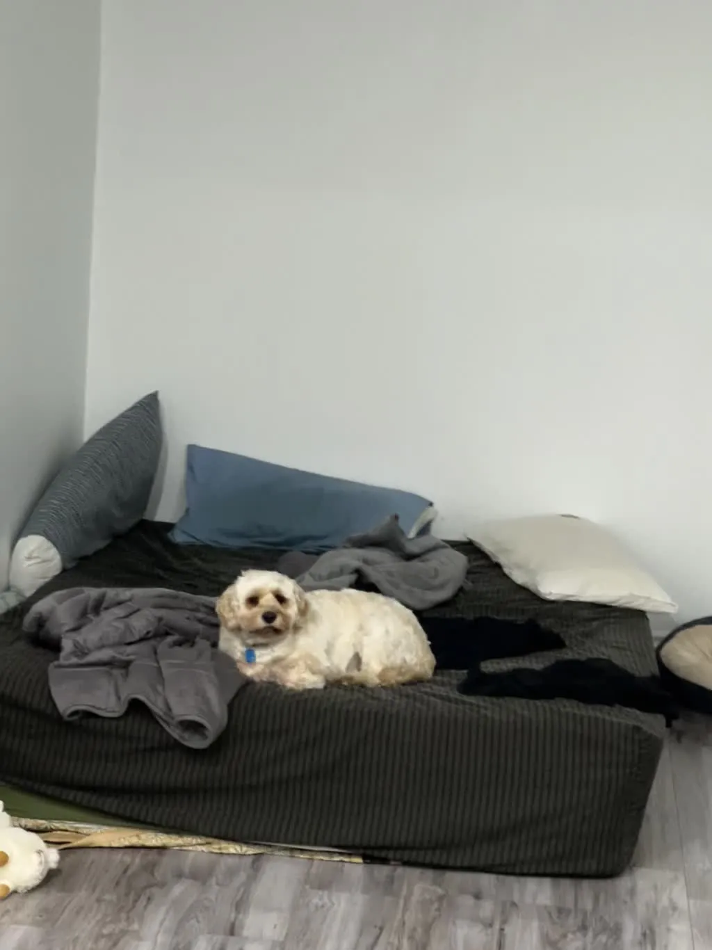 1779063119370 9tejnj IMG 0493