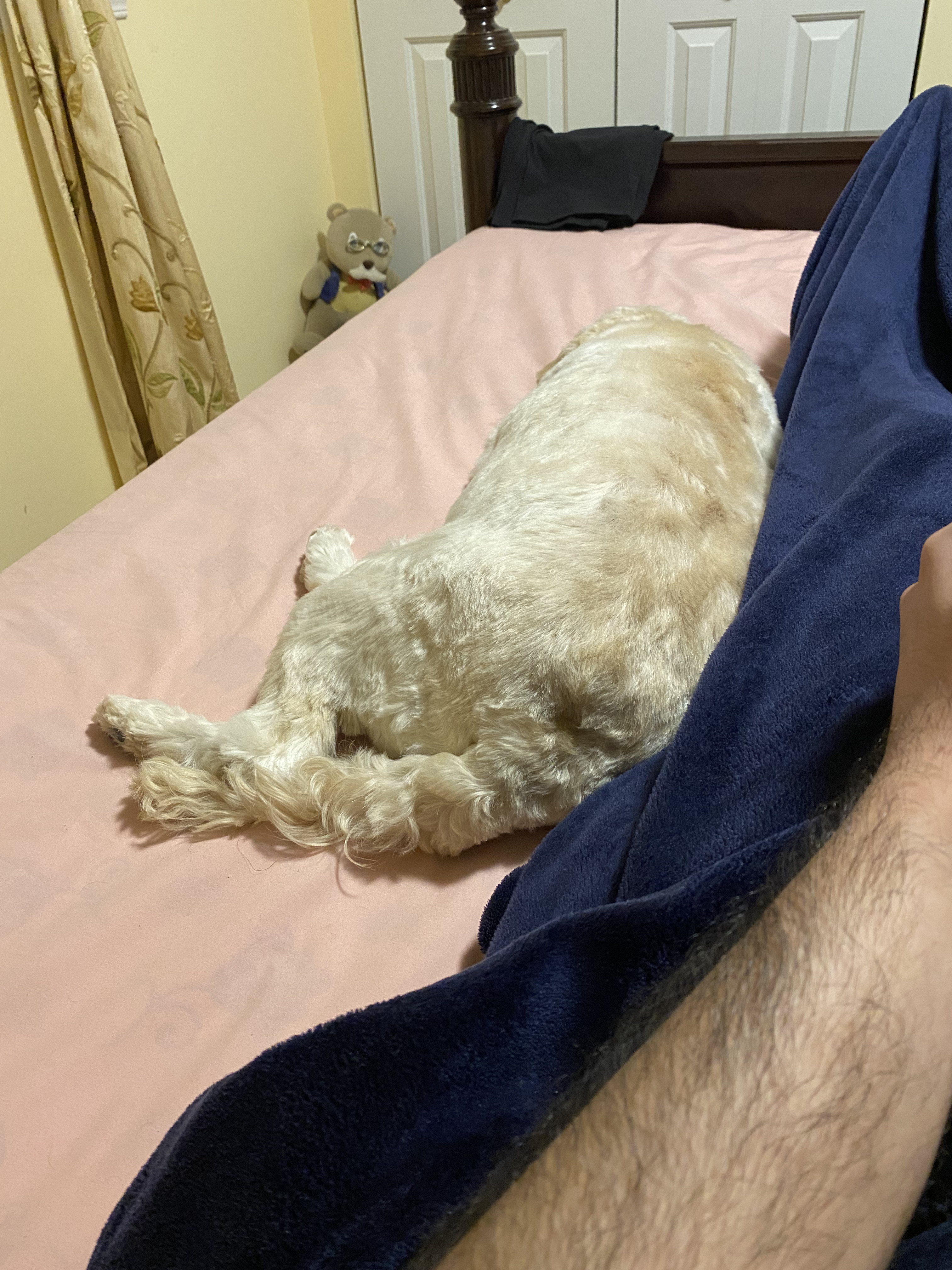 1779063120618 y0w9yi IMG 0883 1 