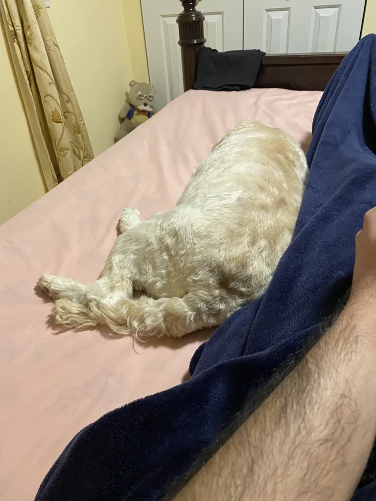 1779063120618 y0w9yi IMG 0883 1 